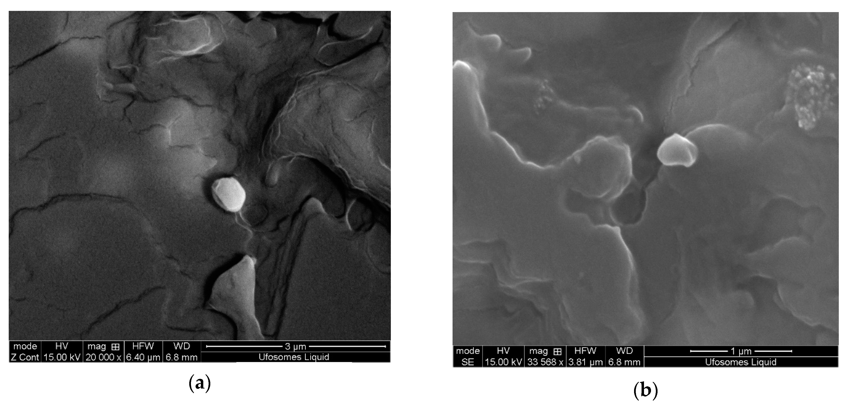 Molecules 24 03139 g003
