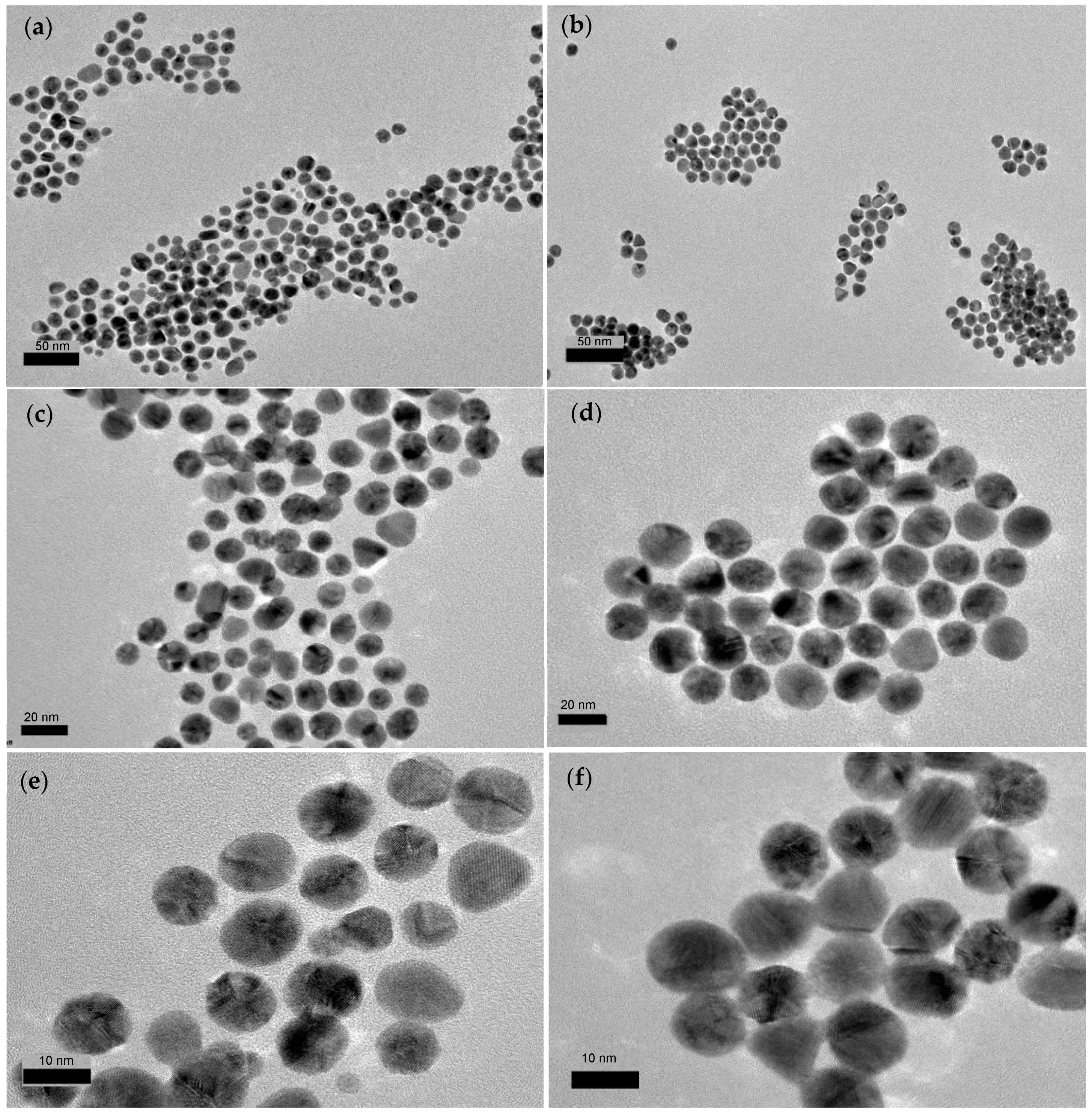Molecules 24 03141 g003