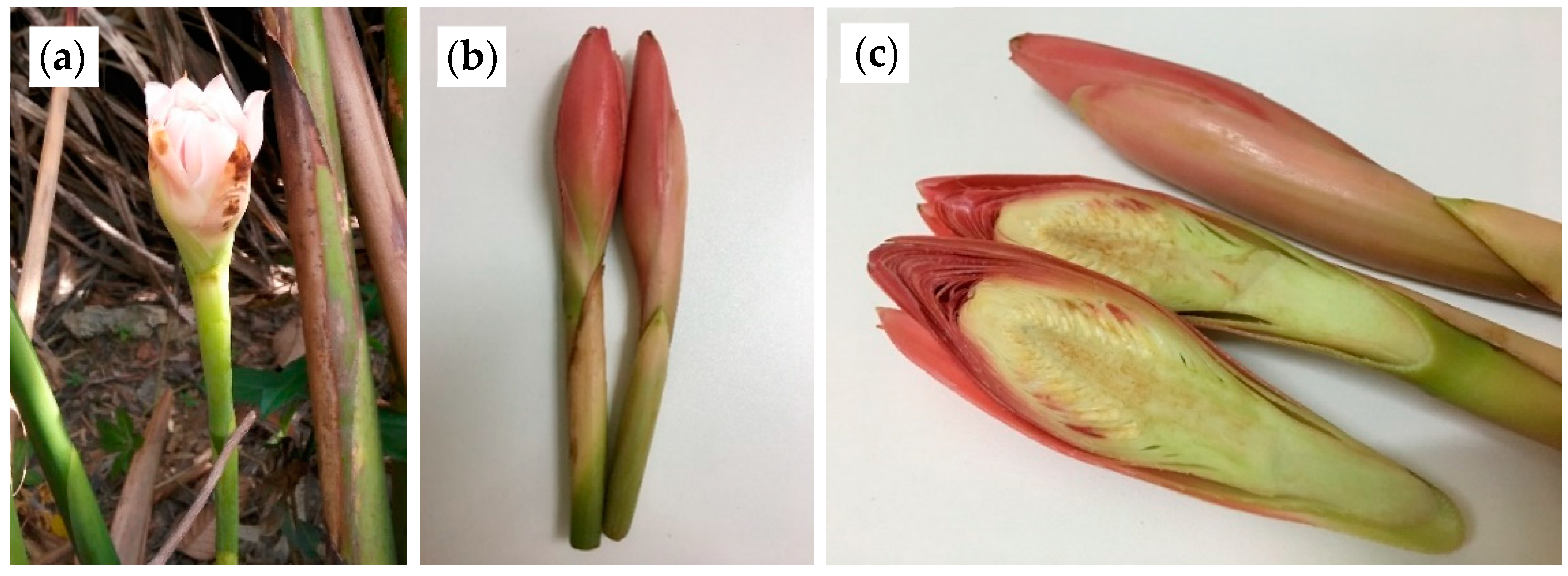 Molecules 24 03141 g007