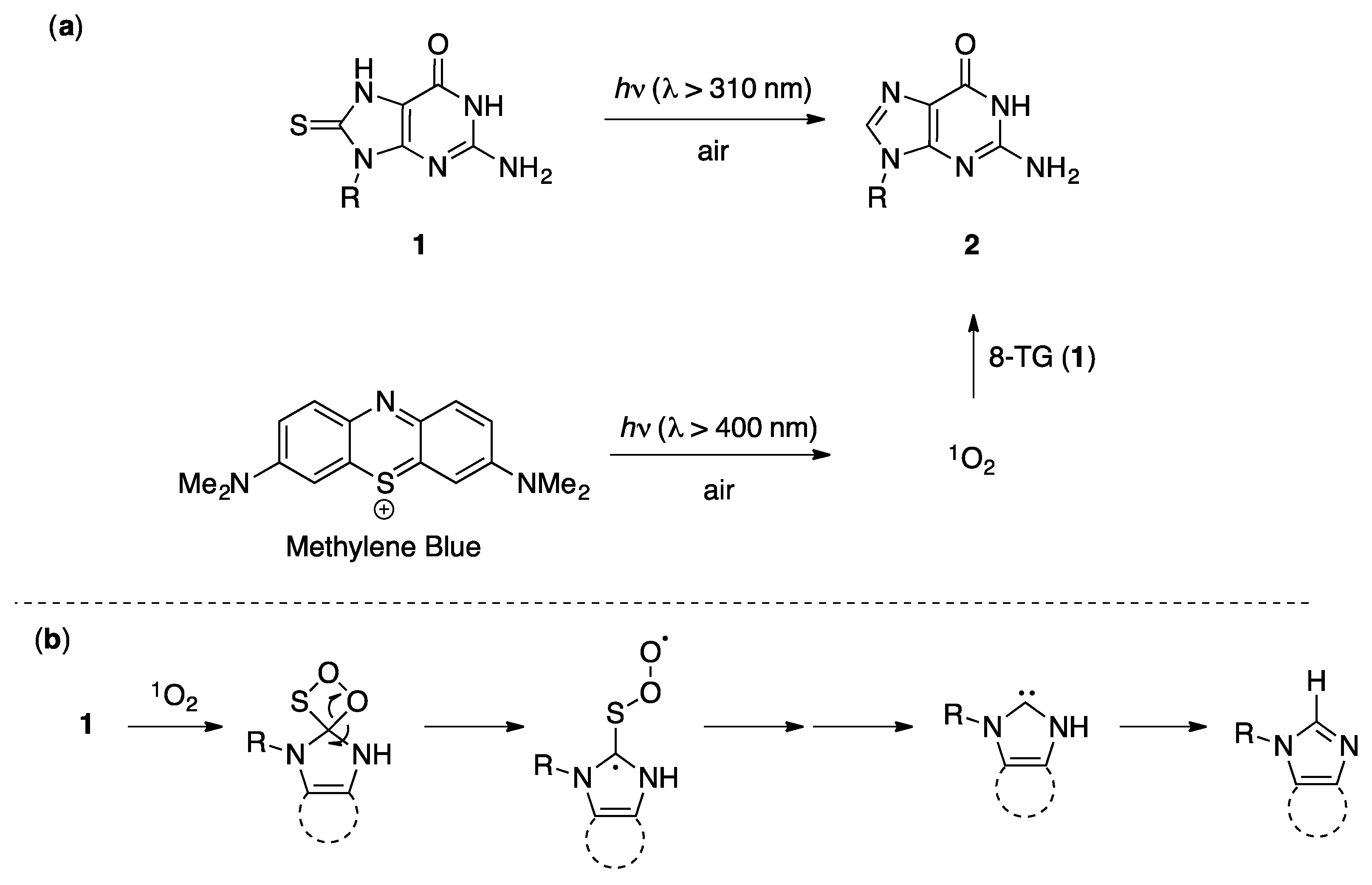 Molecules 24 03143 sch003