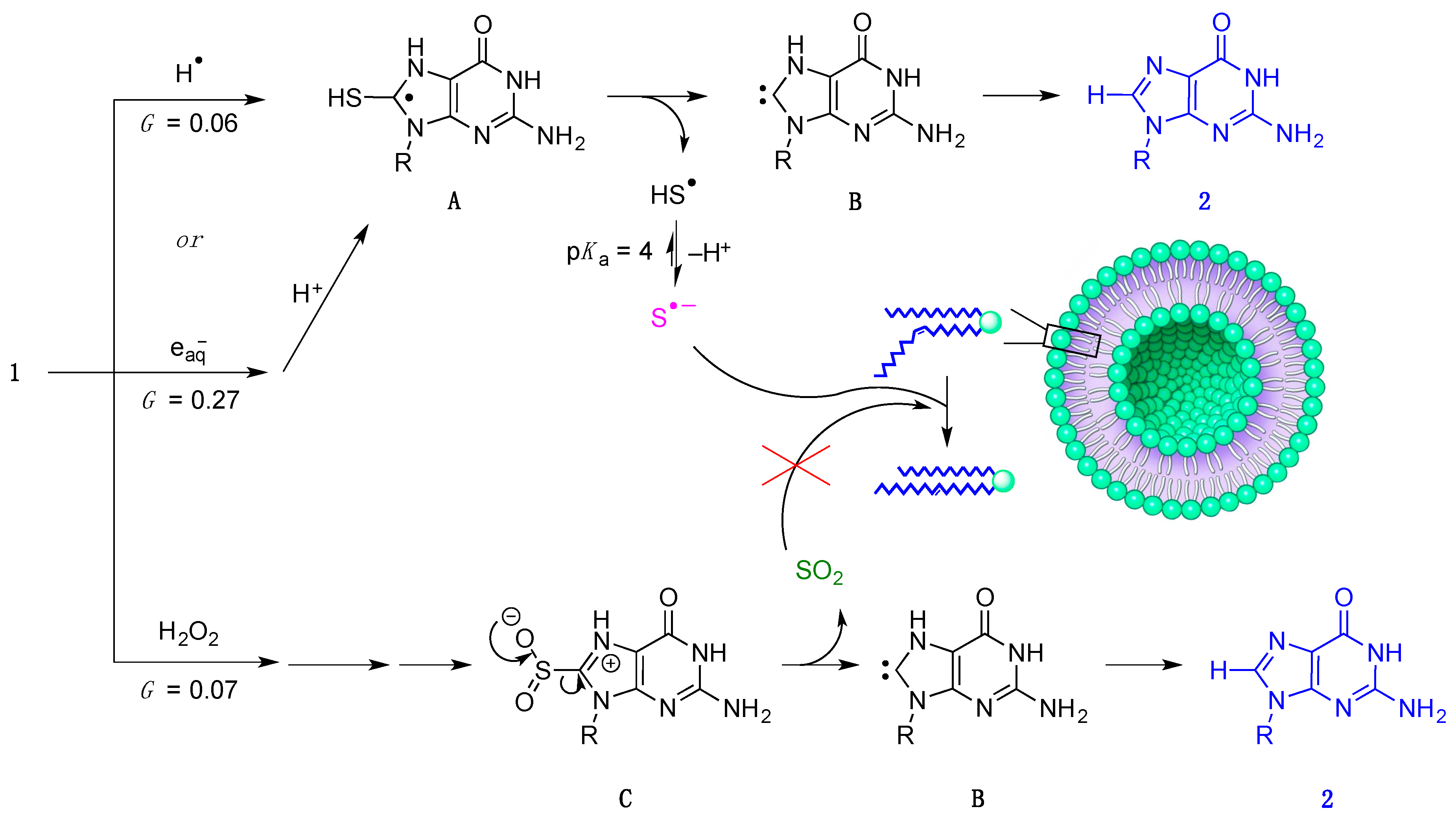 Molecules 24 03143 sch004