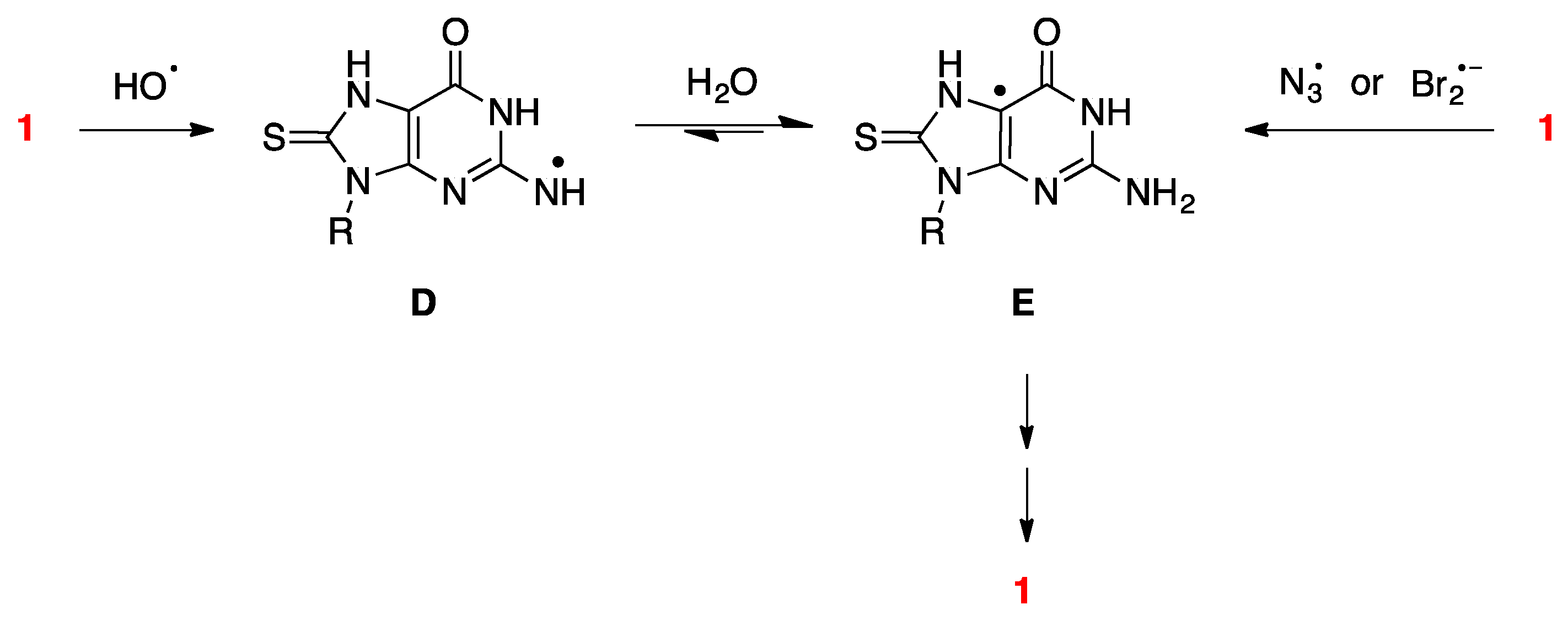 Molecules 24 03143 sch005