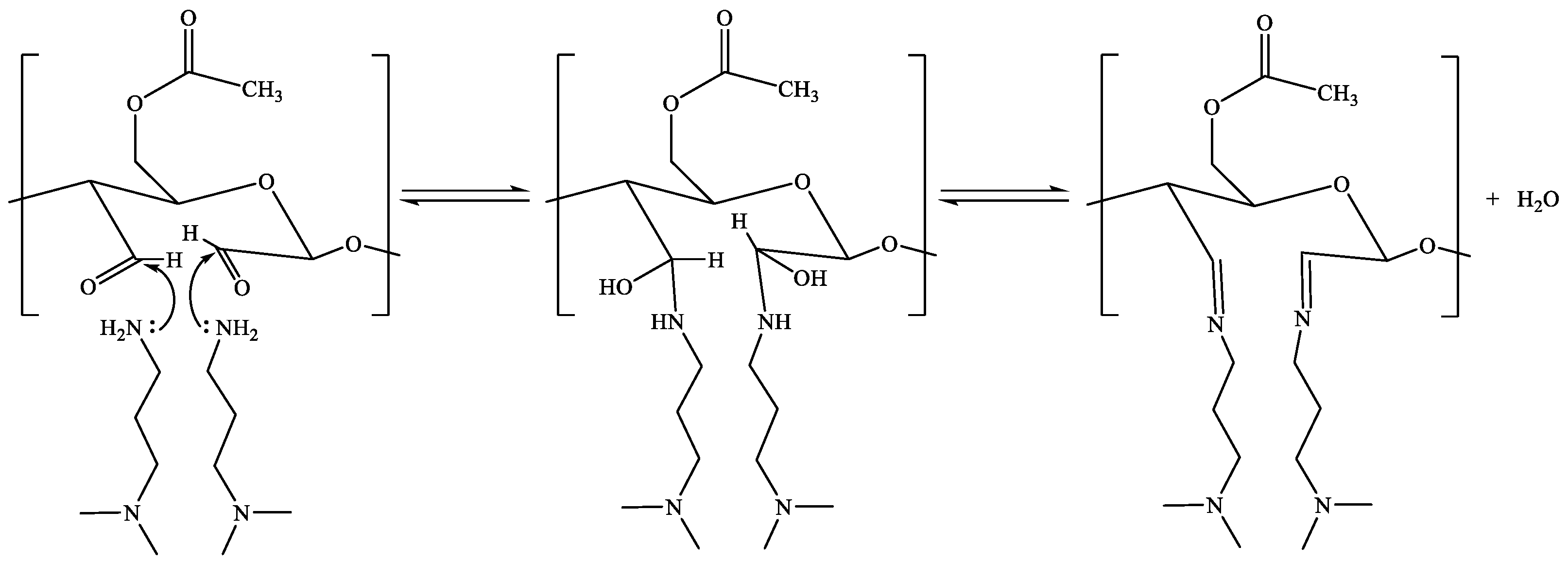 Molecules 24 03147 sch002 Molecules 24 03147 sch002
