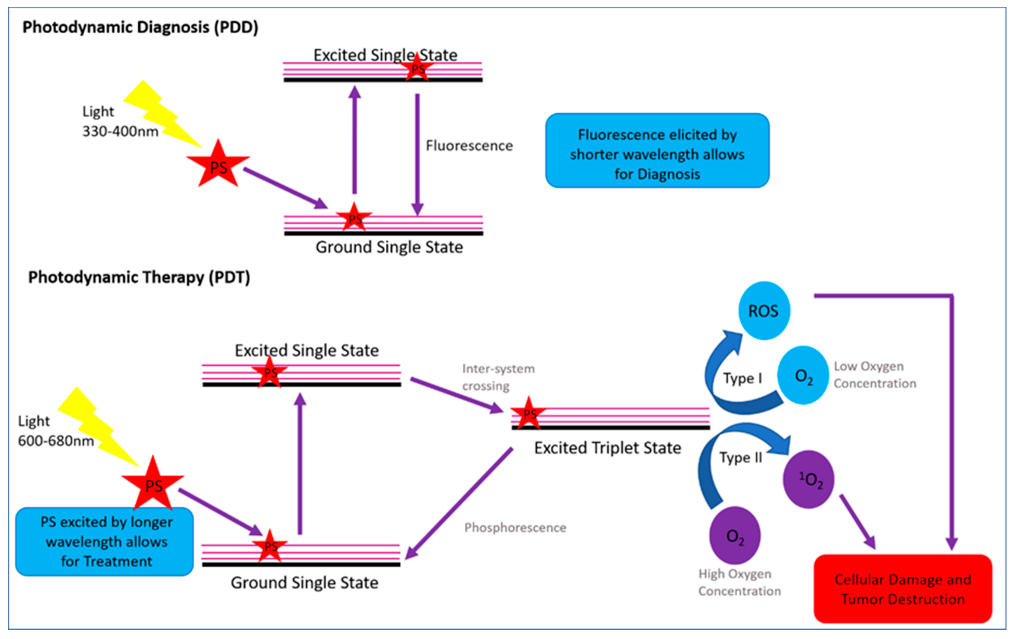 Molecules  Free FullText  Simultaneous Photodiagnosis and
