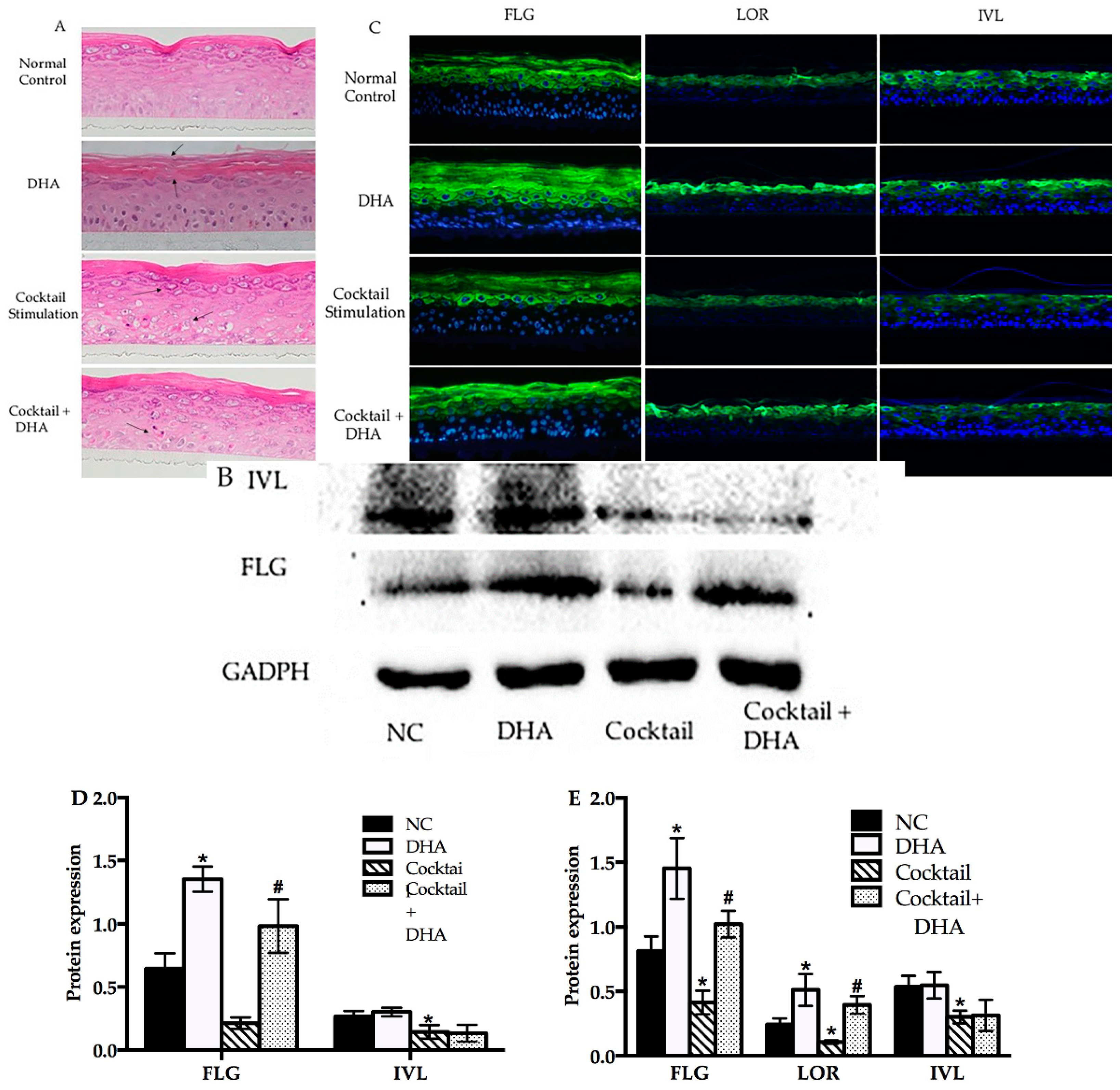 Molecules 24 03156 g004