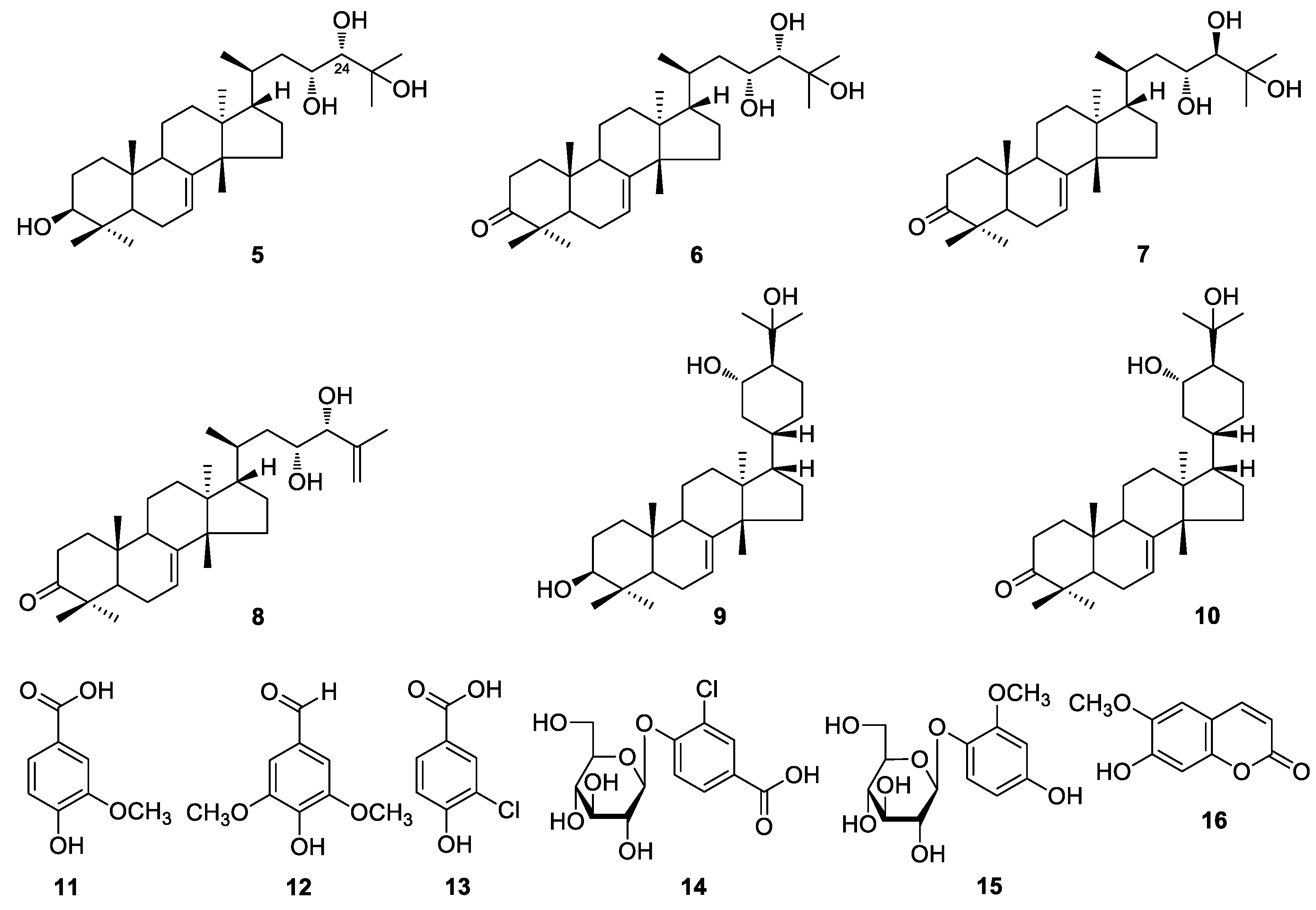 Molecules 24 03157 g002
