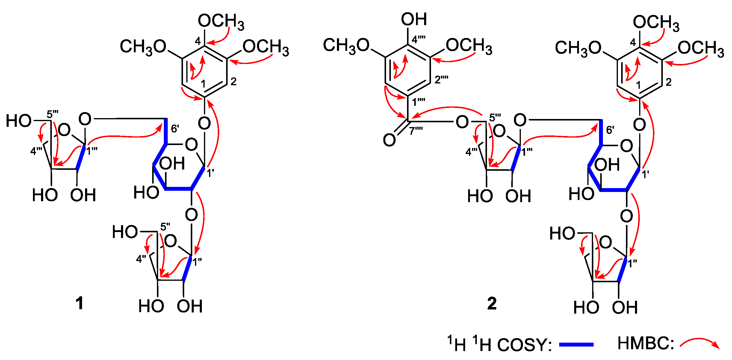Molecules 24 03157 g003