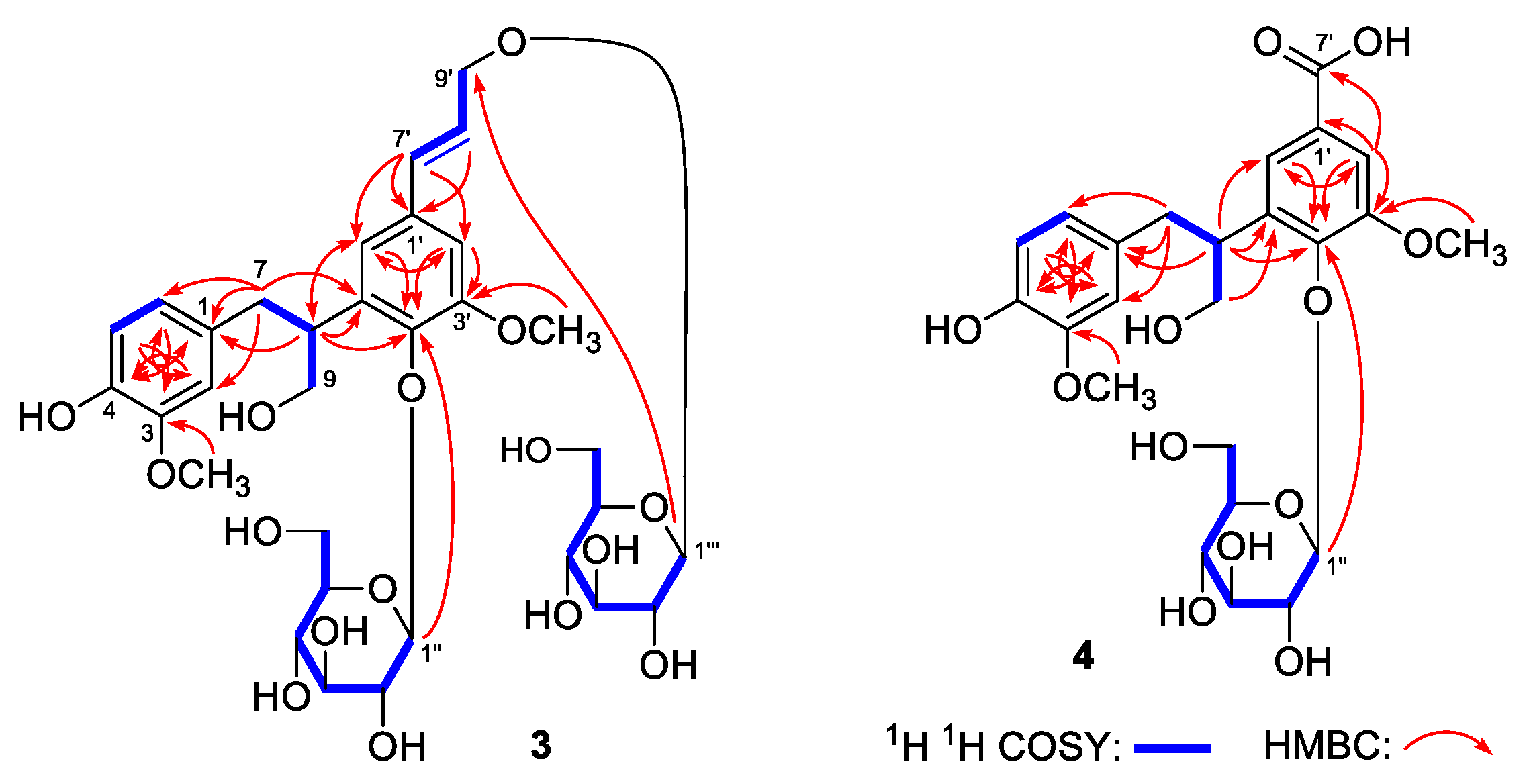 Molecules 24 03157 g004