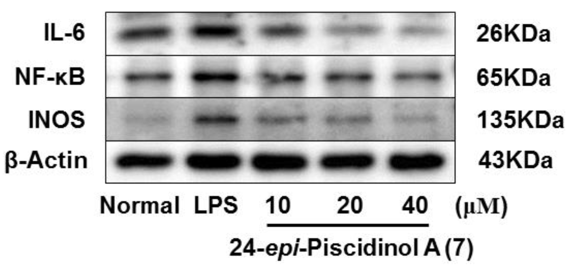 Molecules 24 03157 g007a