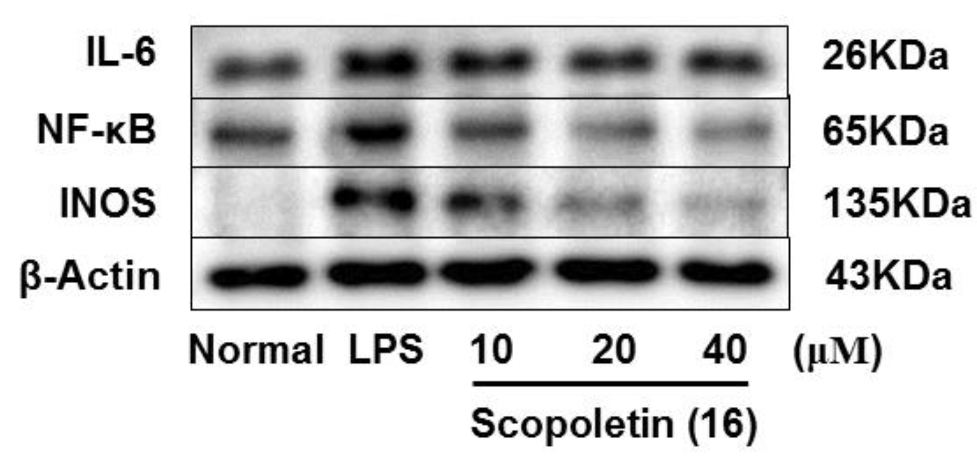 Molecules 24 03157 g009a