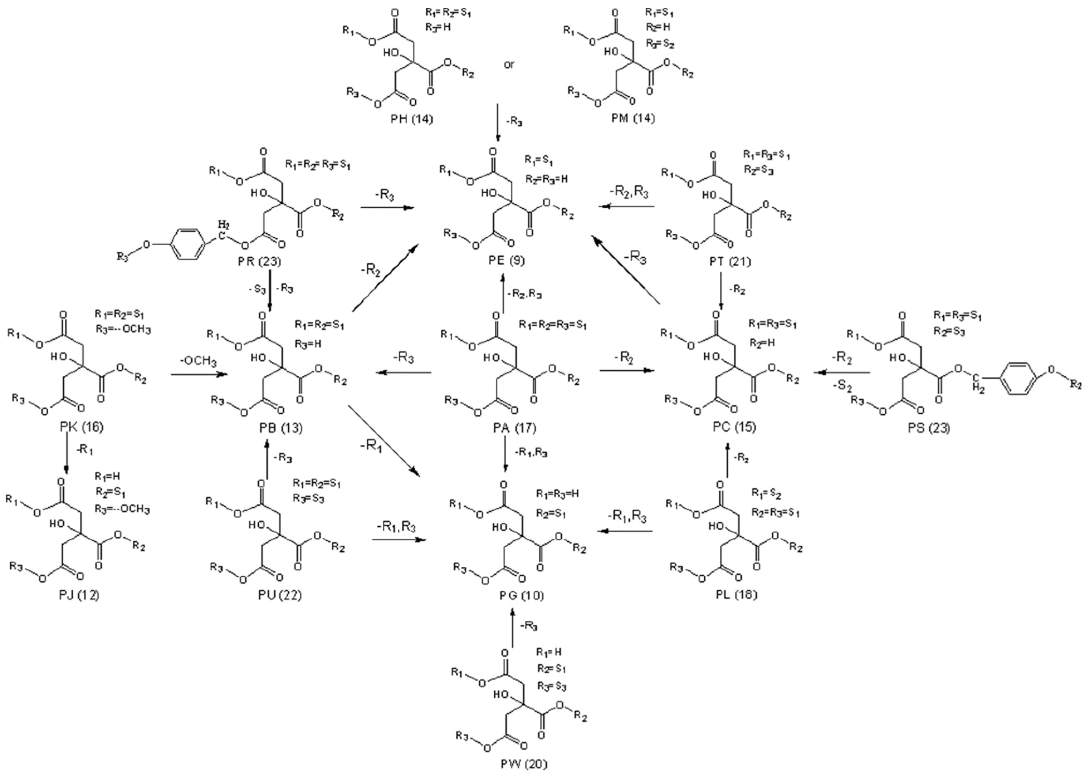 Molecules 24 03159 g003