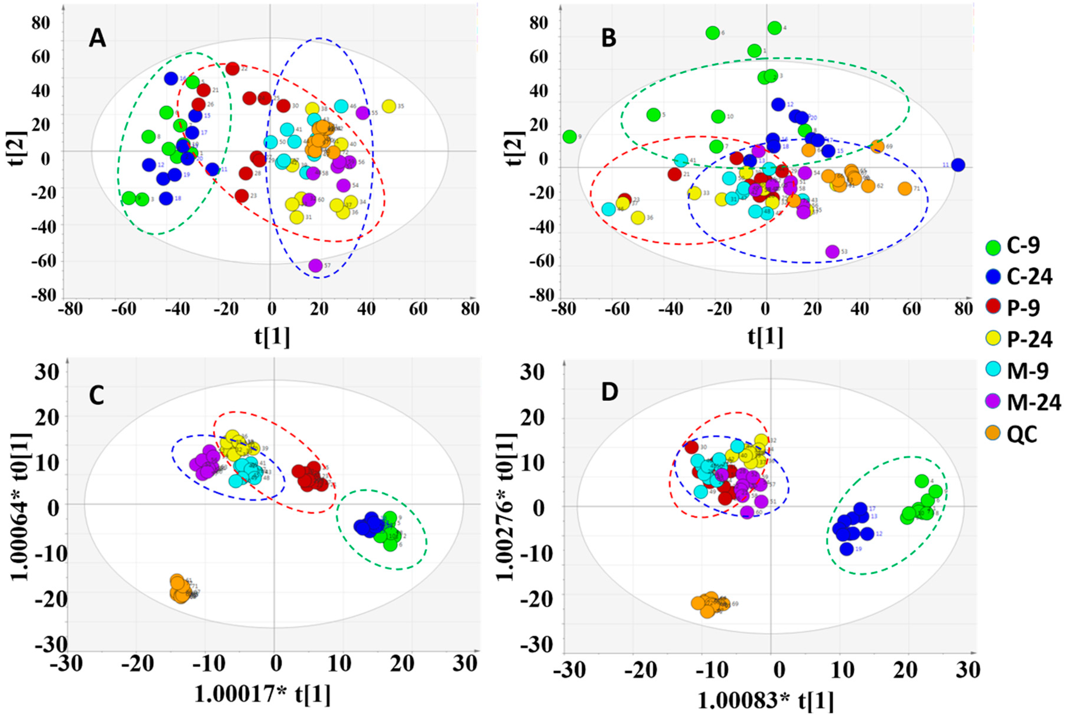 Molecules 24 03161 g003