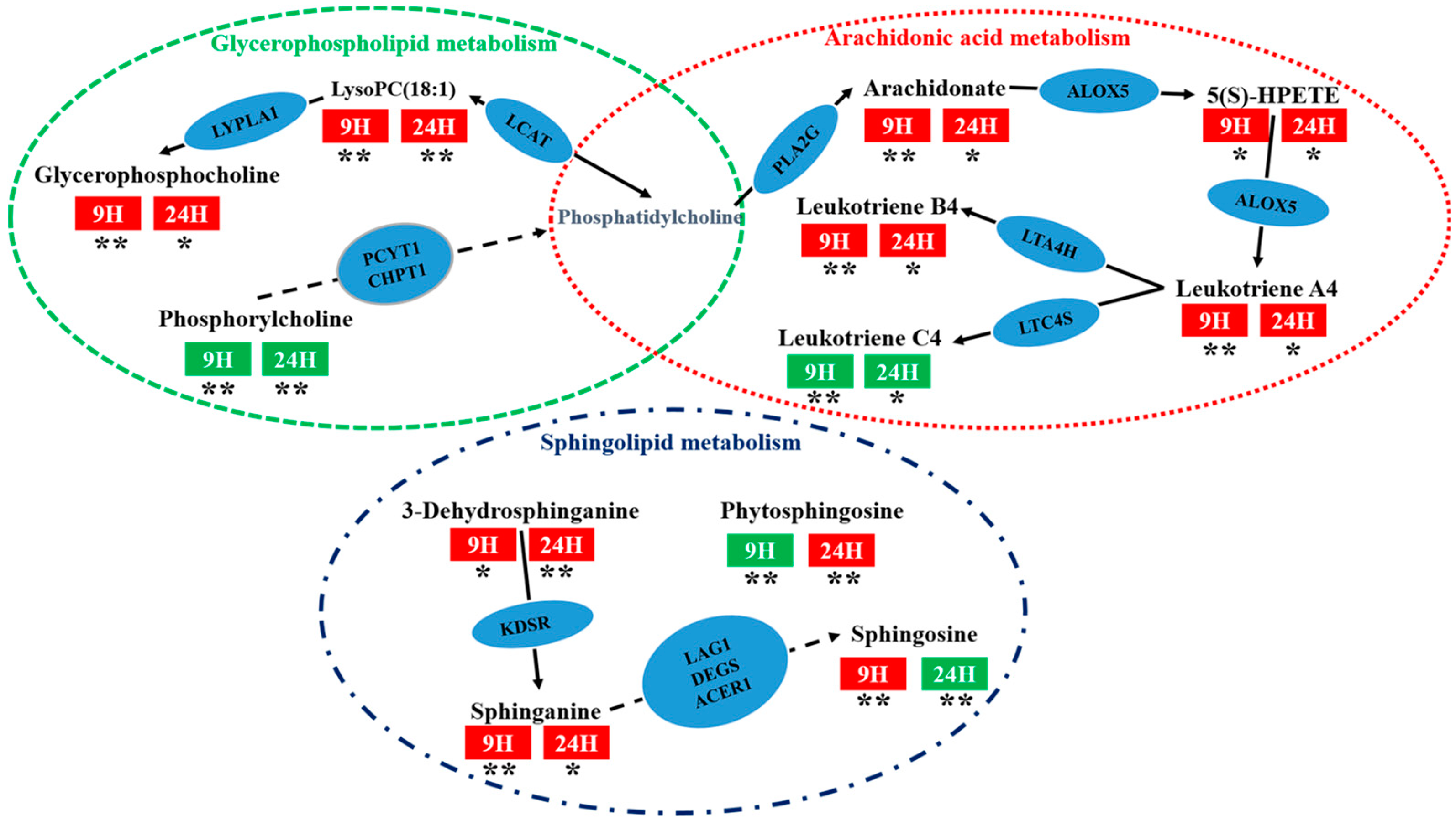 Molecules 24 03161 g008