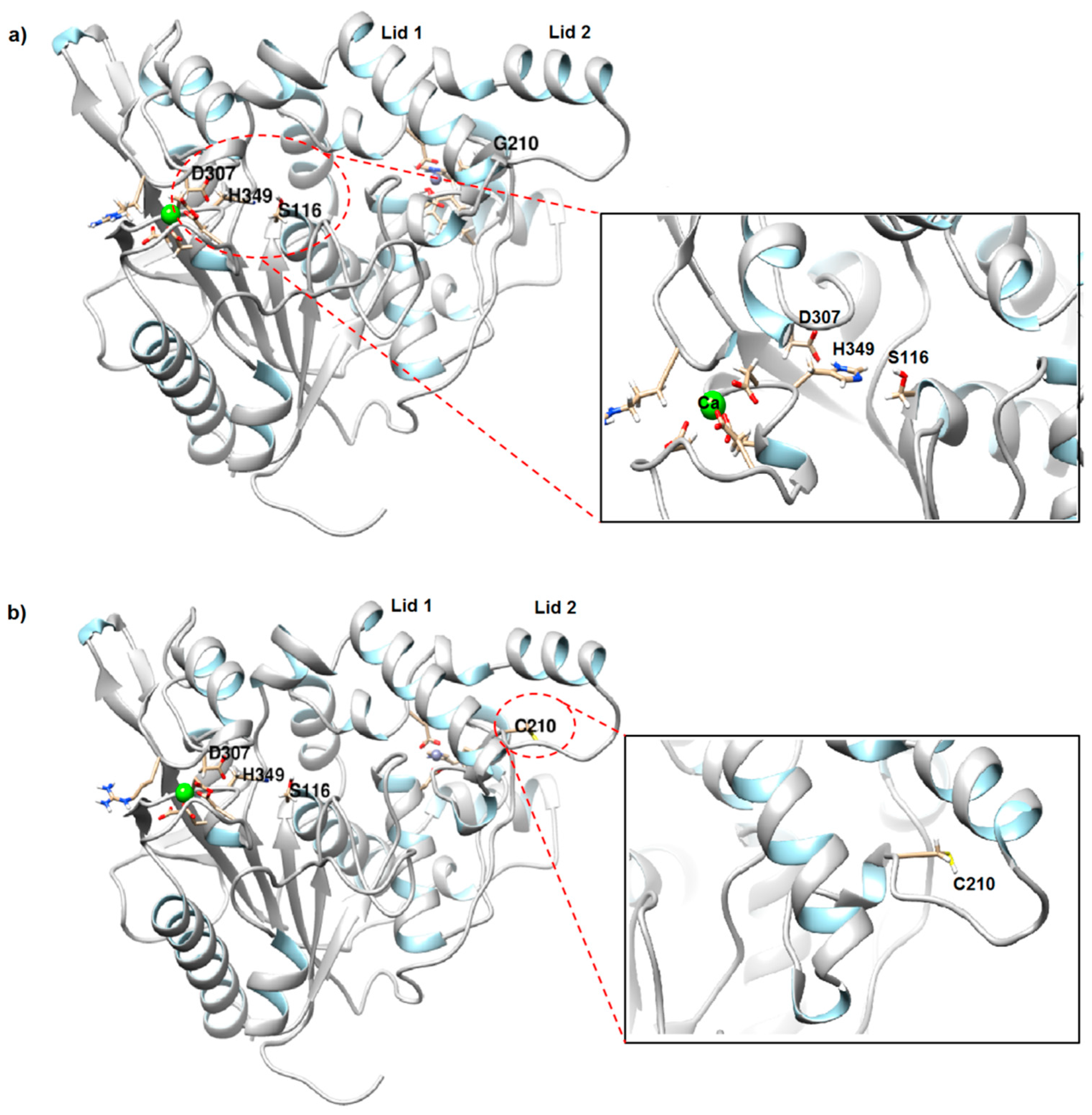 Molecules 24 03169 g001