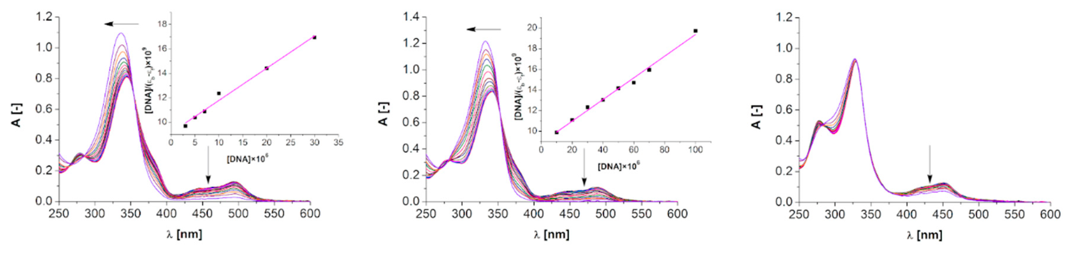 Molecules 24 03173 g004