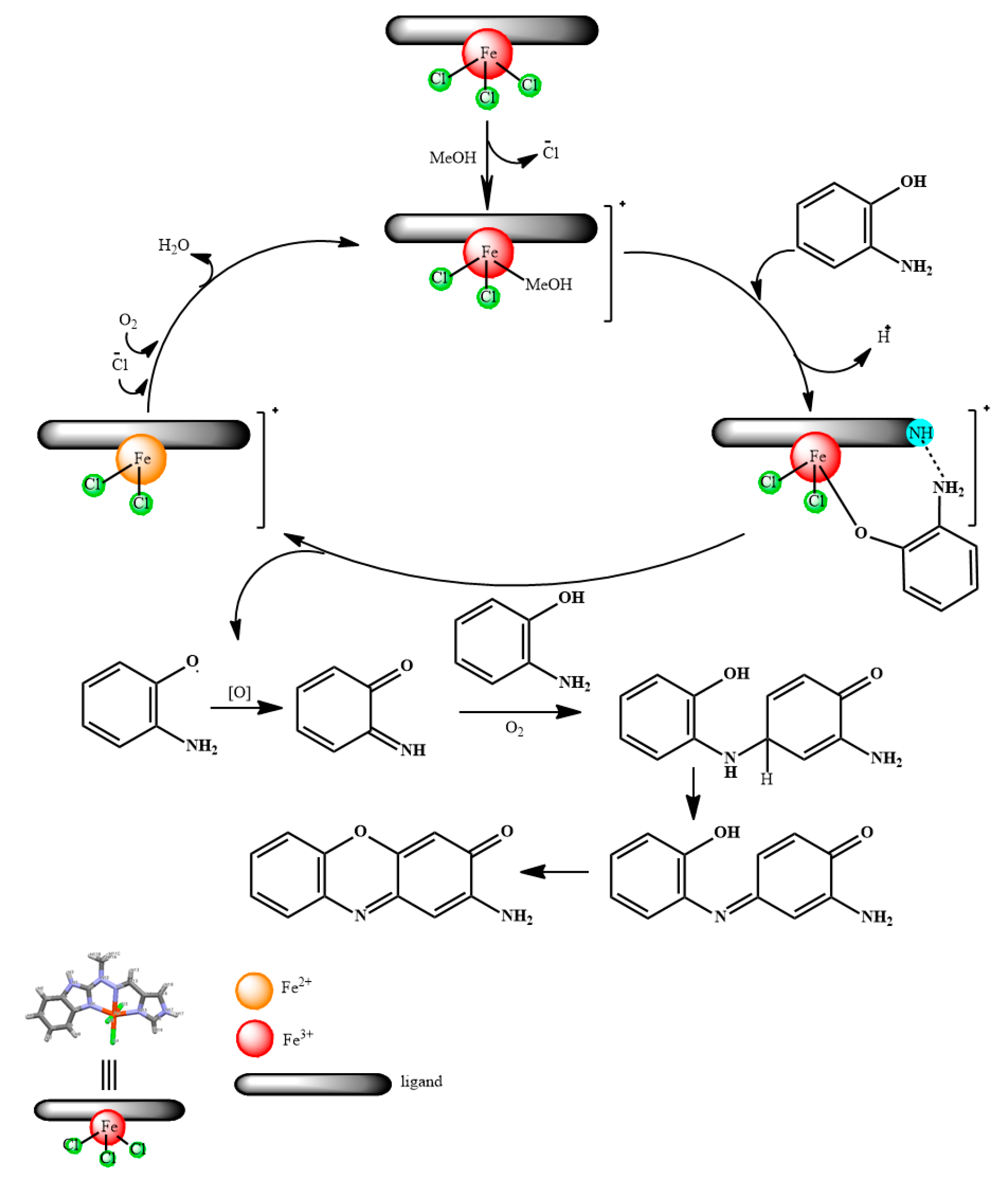 Molecules 24 03173 sch003