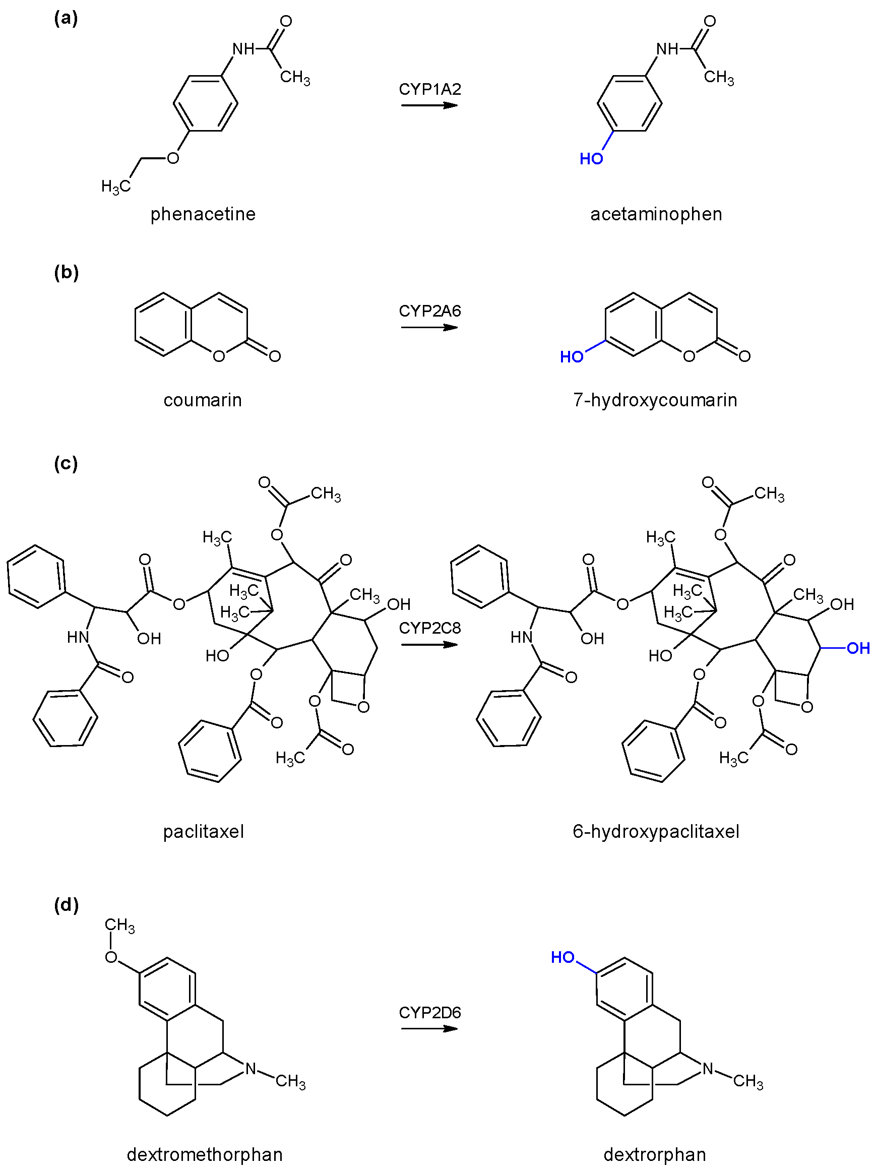 Molecules 24 03174 g002