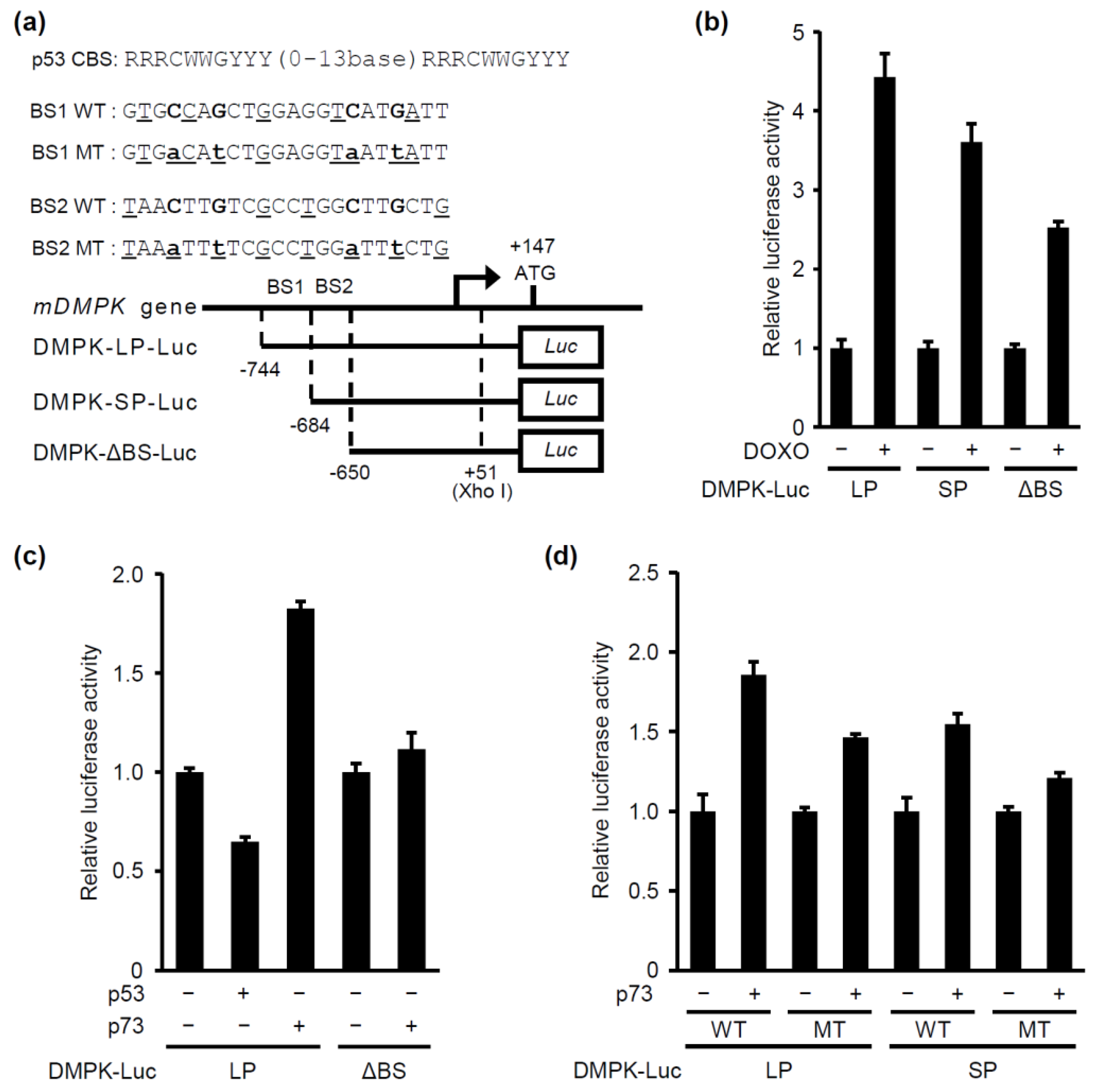 Molecules 24 03175 g002 Molecules 24 03175 g002