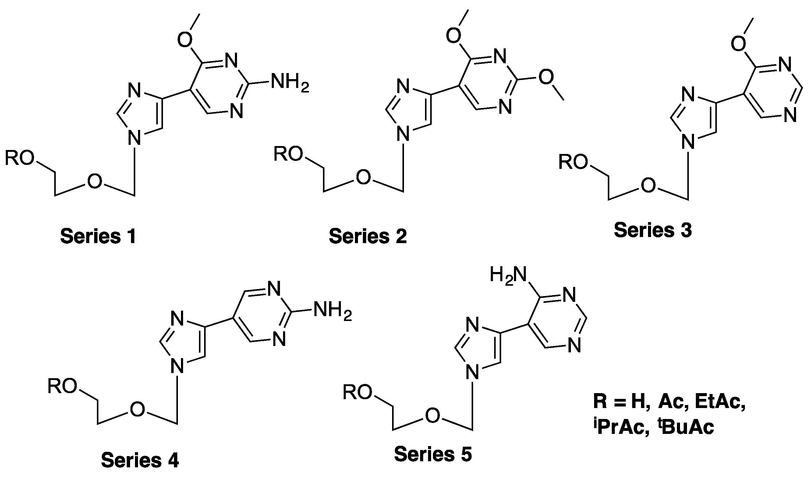 Molecules 24 03184 g003