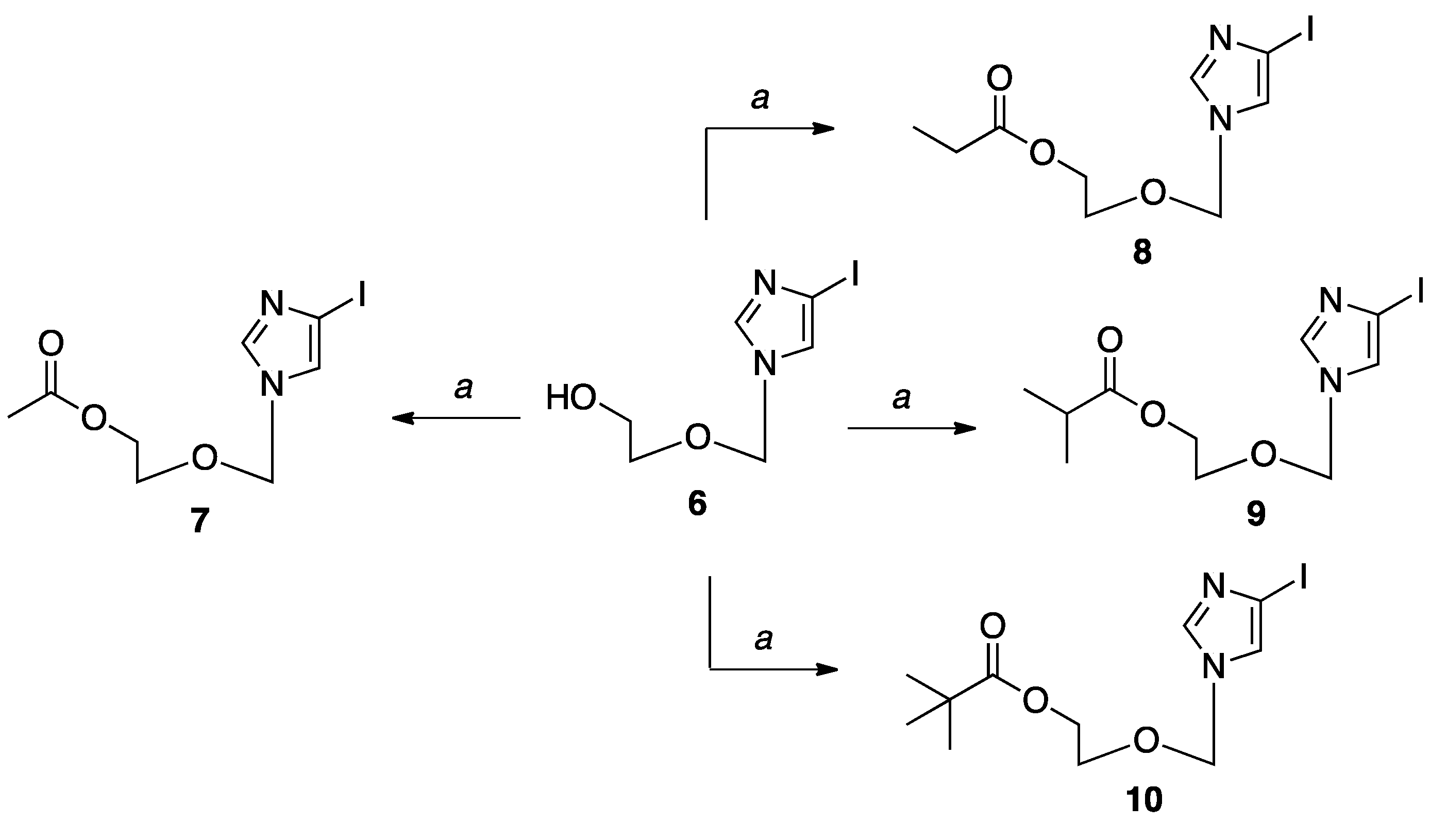 Molecules 24 03184 sch001