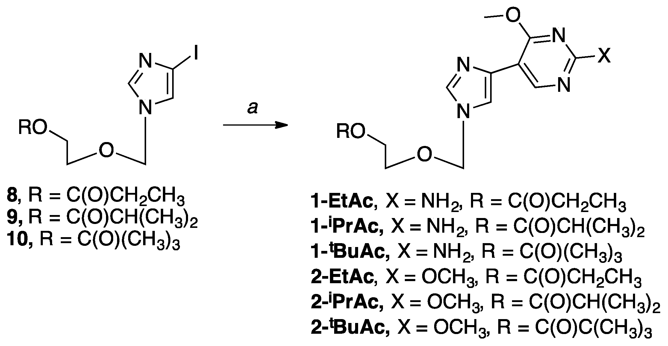 Molecules 24 03184 sch002