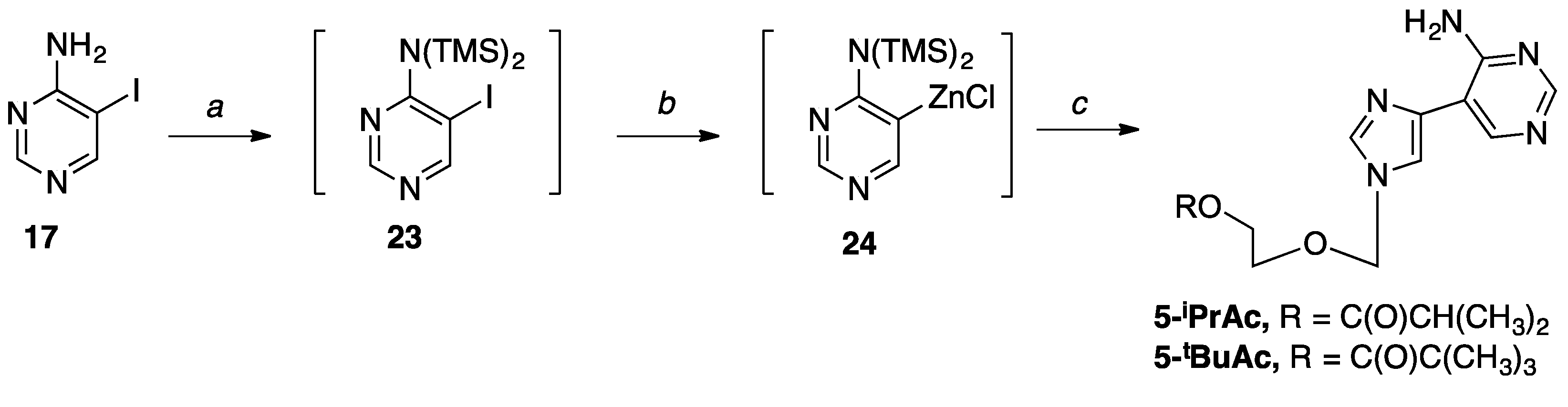 Molecules 24 03184 sch007