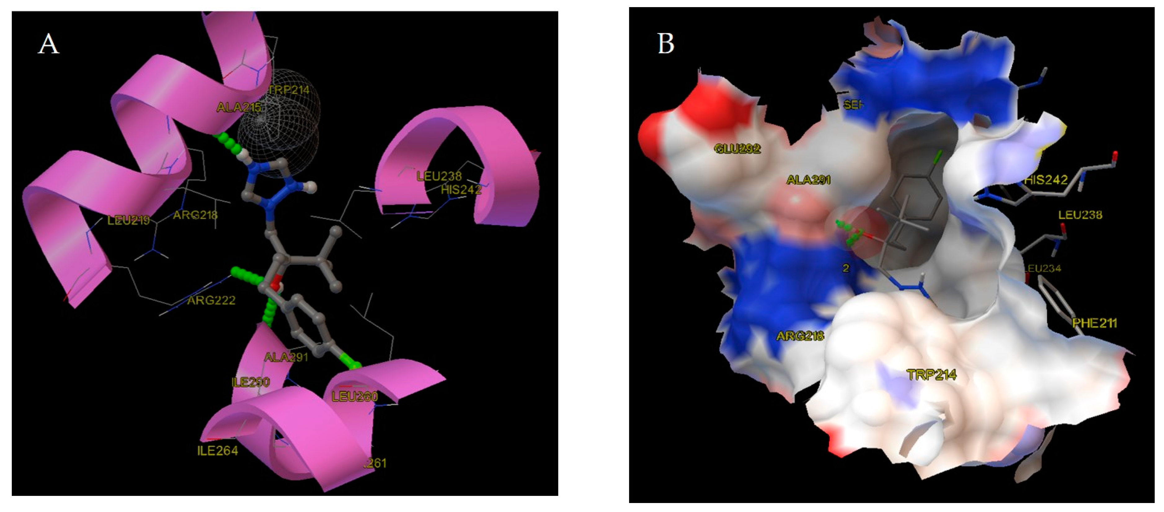 超特価セール開催！！ Tebuconazole Fungicide Influences Human of Structure the ウエア