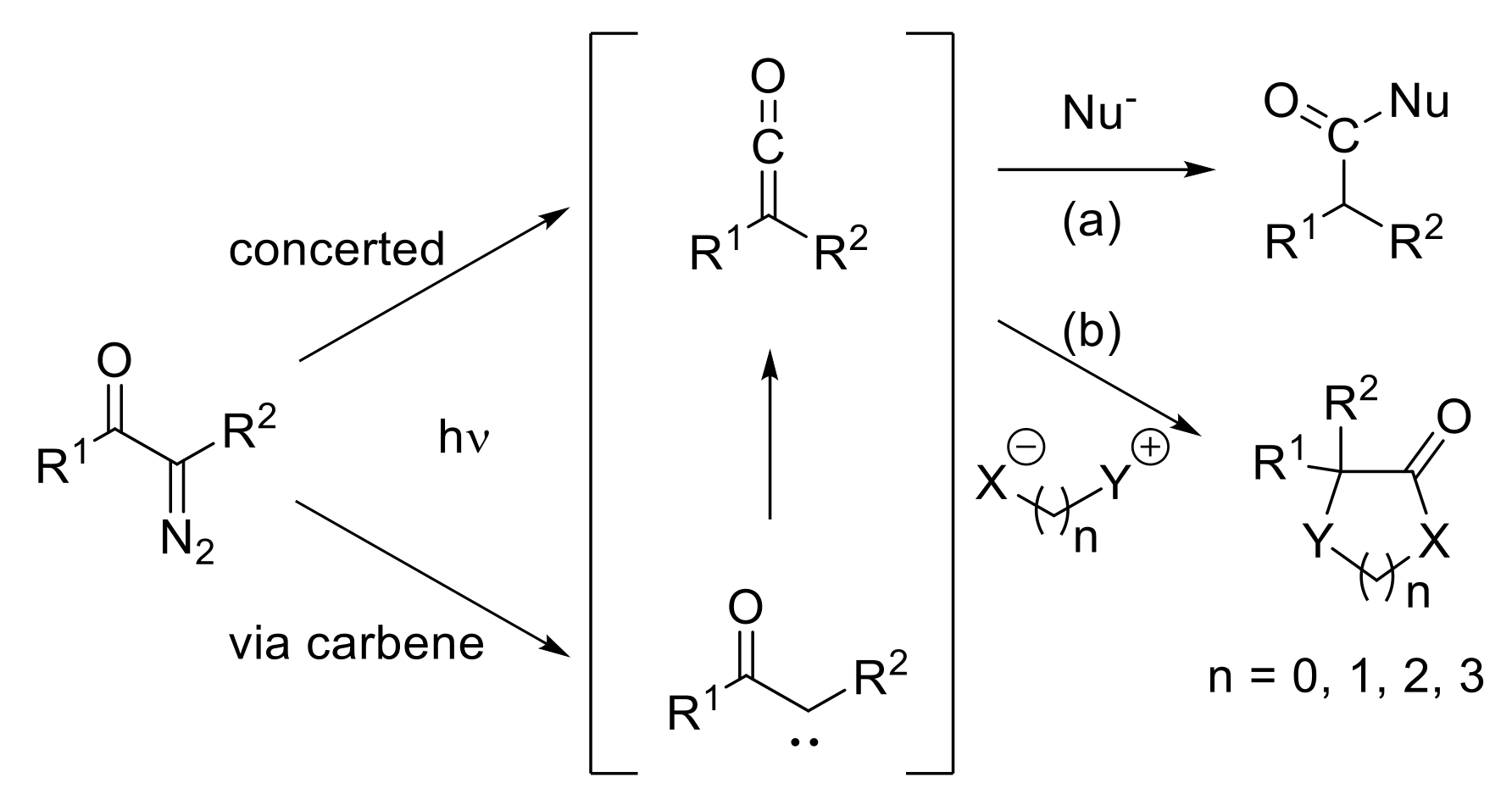 Molecules 24 03191 sch006 Molecules 24 03191 sch006