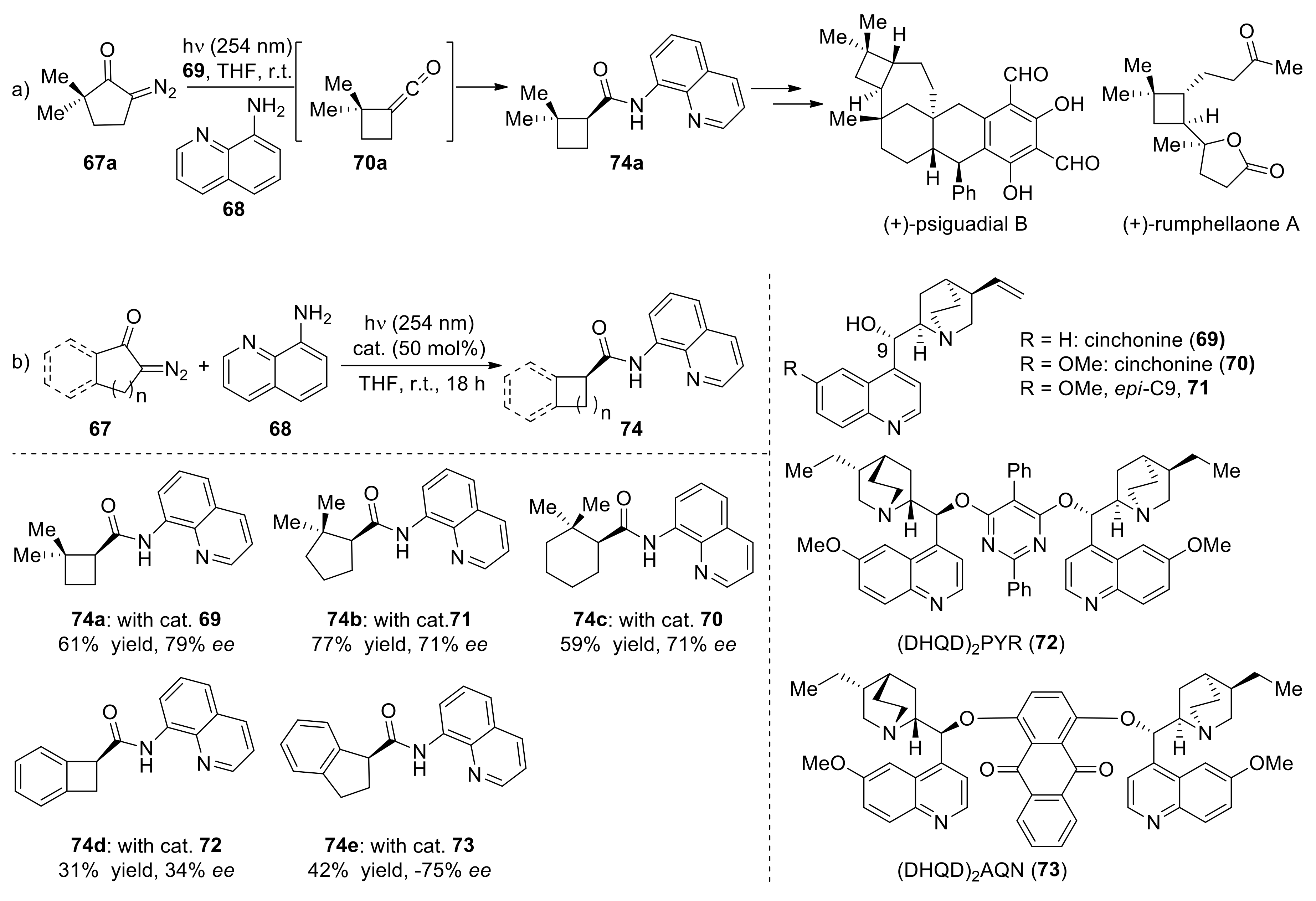 Molecules 24 03191 sch020 Molecules 24 03191 sch020