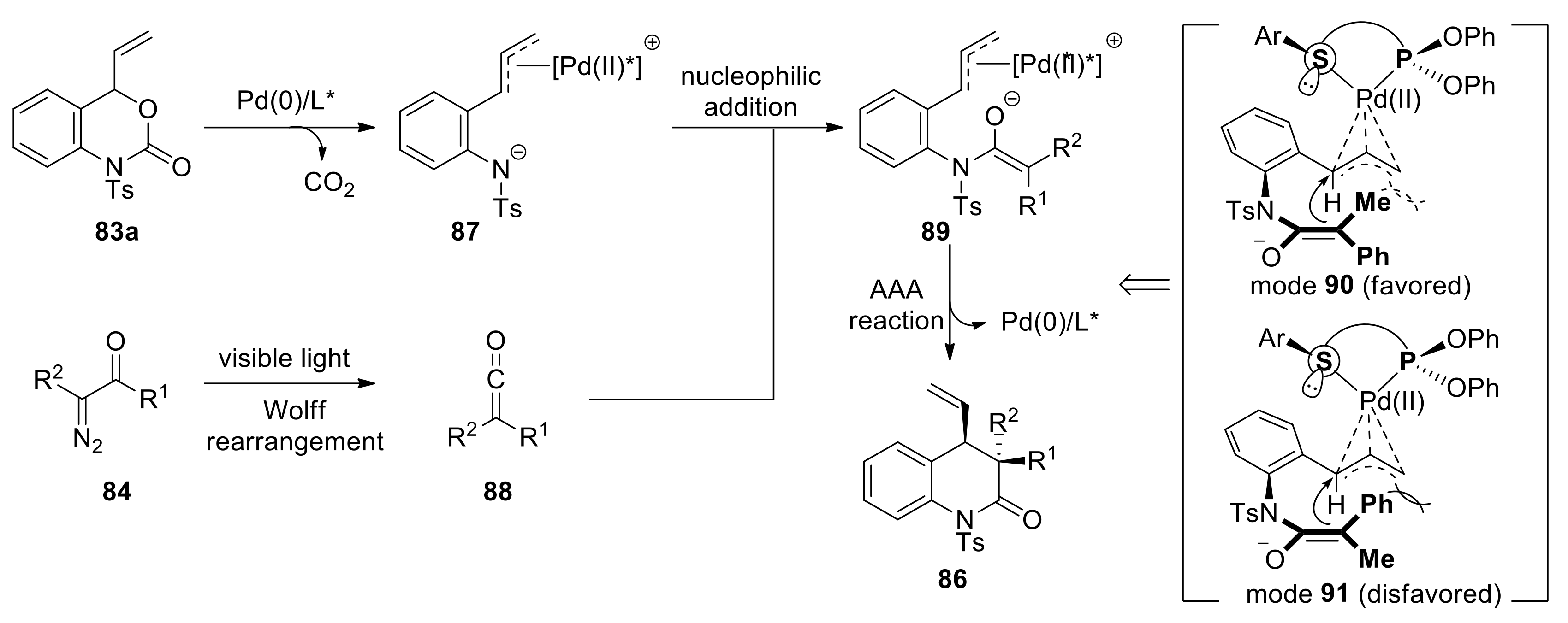 Molecules 24 03191 sch023 Molecules 24 03191 sch023