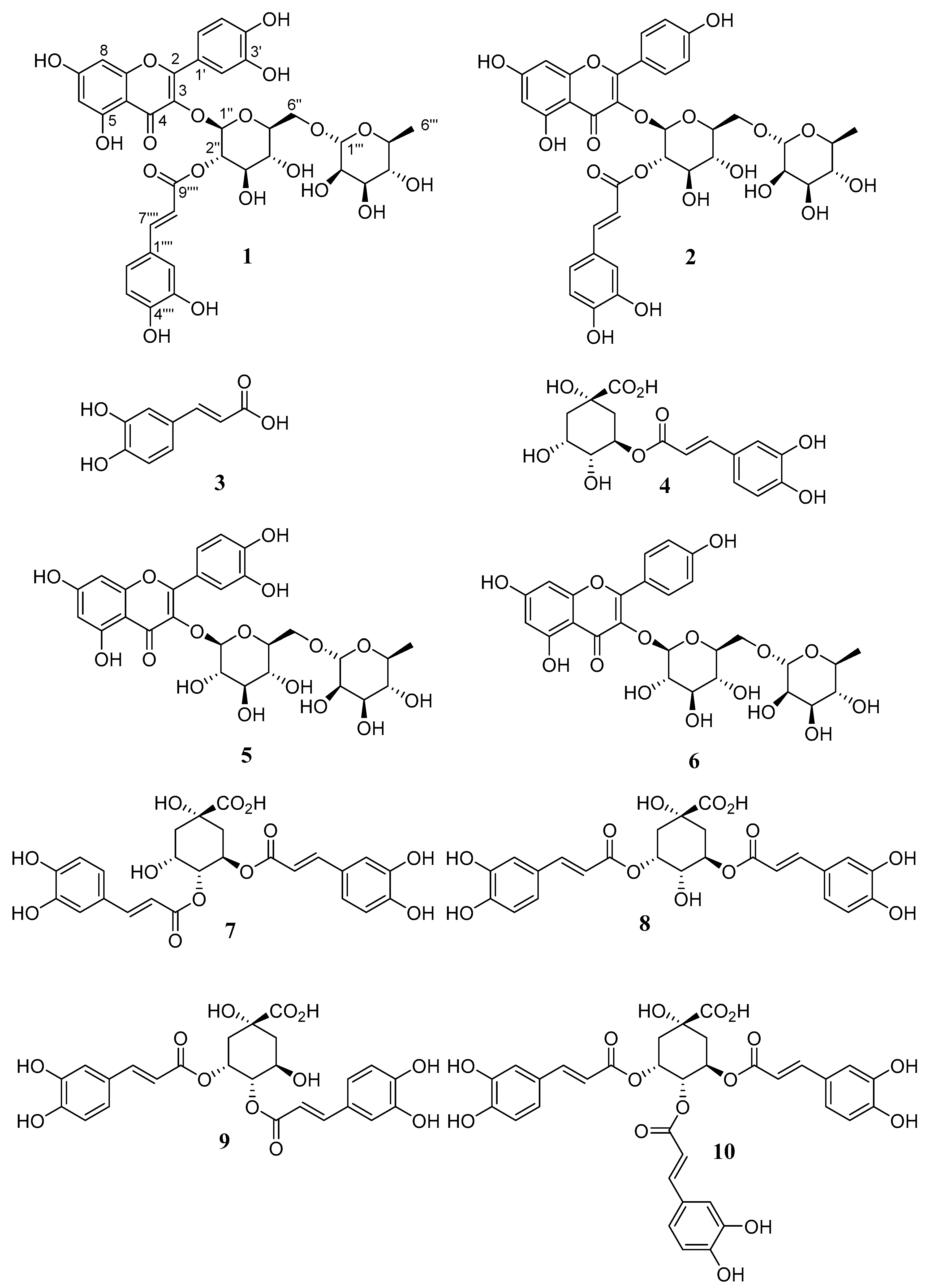 Molecules 24 03198 g001