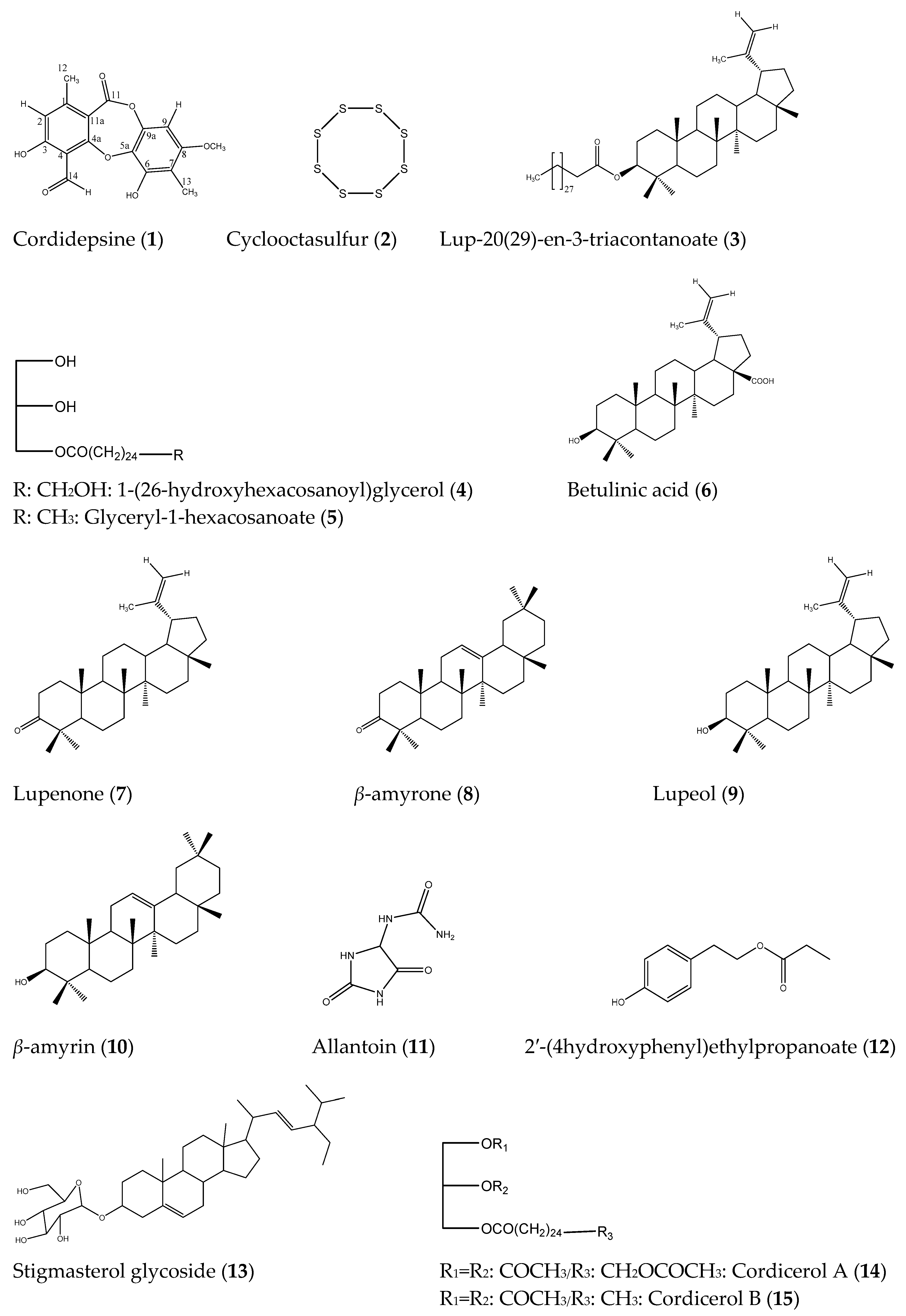 Molecules 24 03202 g001