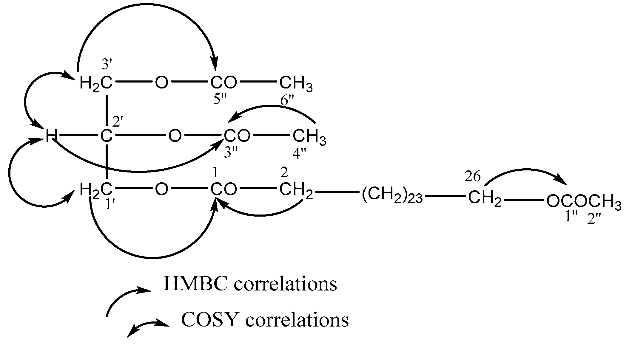 Molecules 24 03202 g004
