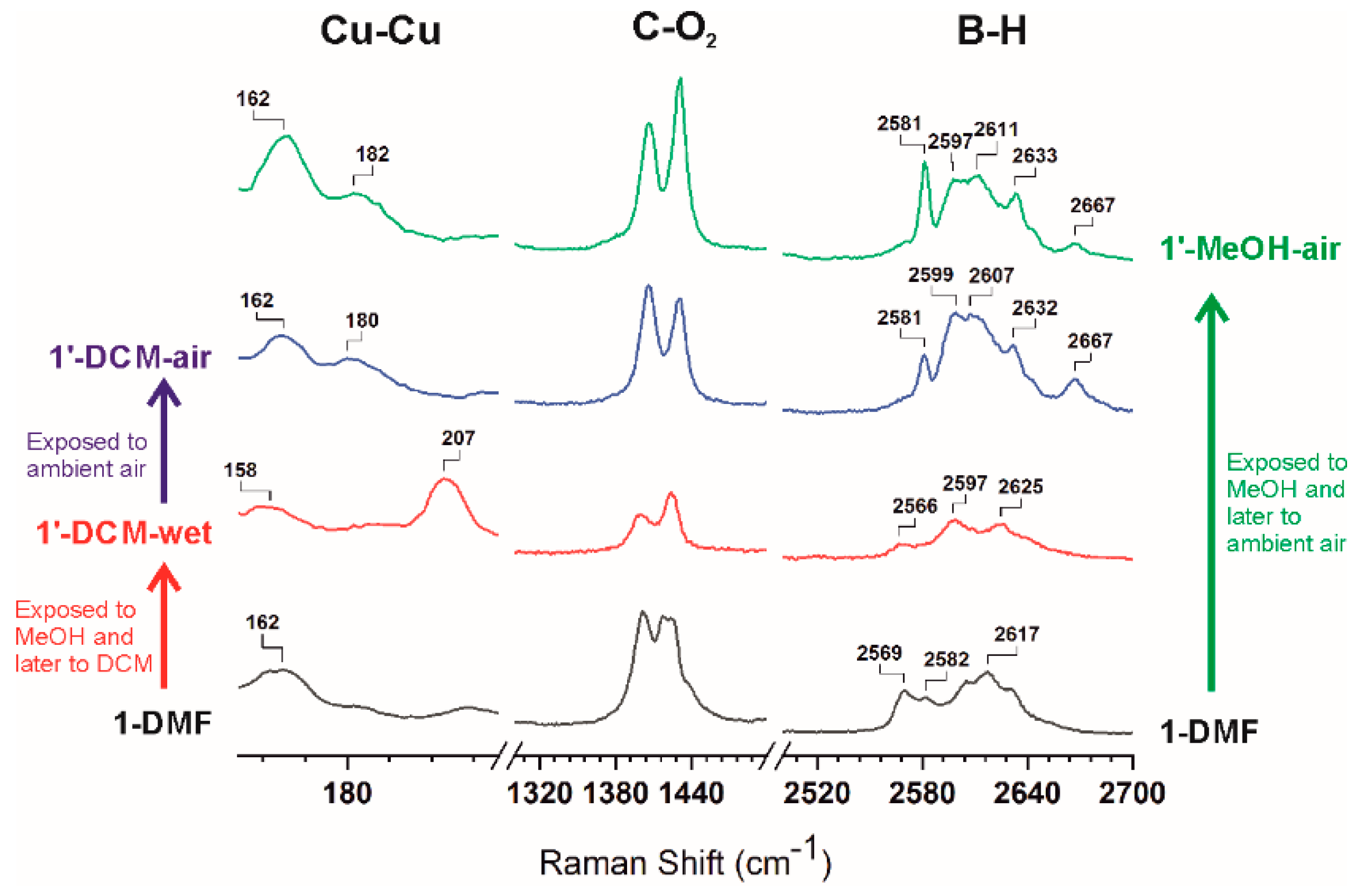 Molecules 24 03204 g005