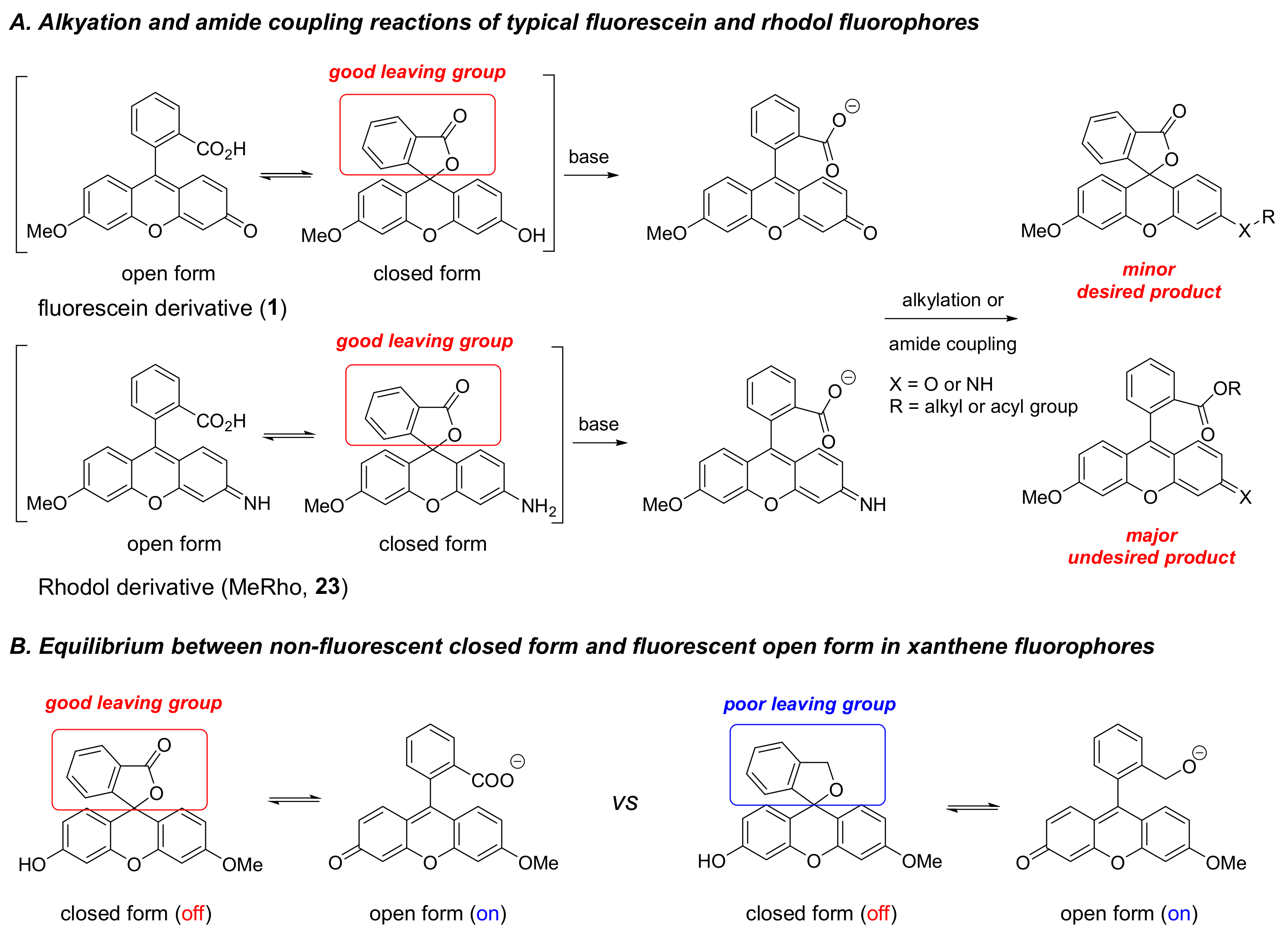 Molecules | Free Full-Text | Asymmetric and Reduced Xanthene ...