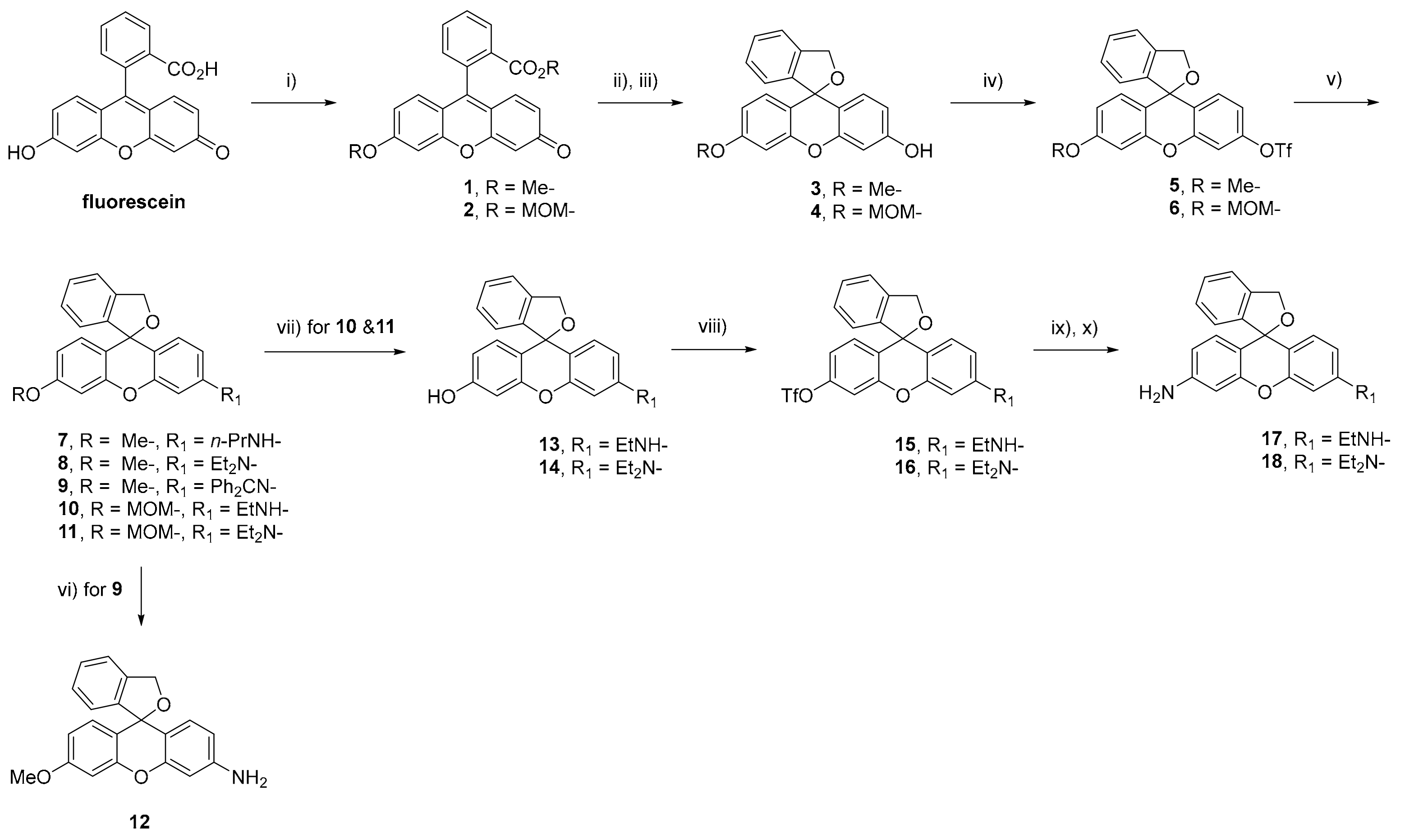 Molecules 24 03206 sch001 Molecules 24 03206 sch001