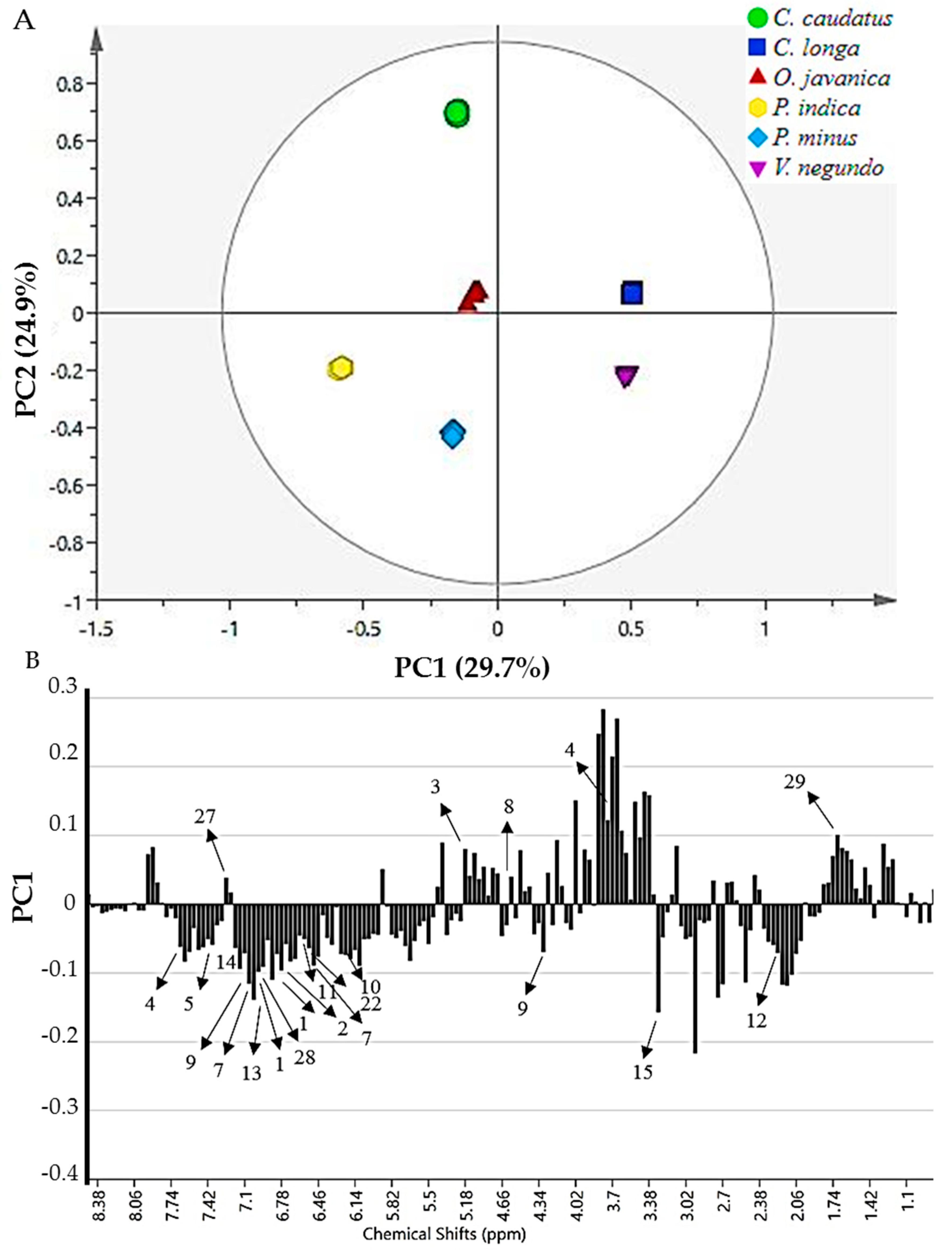 Molecules 24 03208 g004 Molecules 24 03208 g004