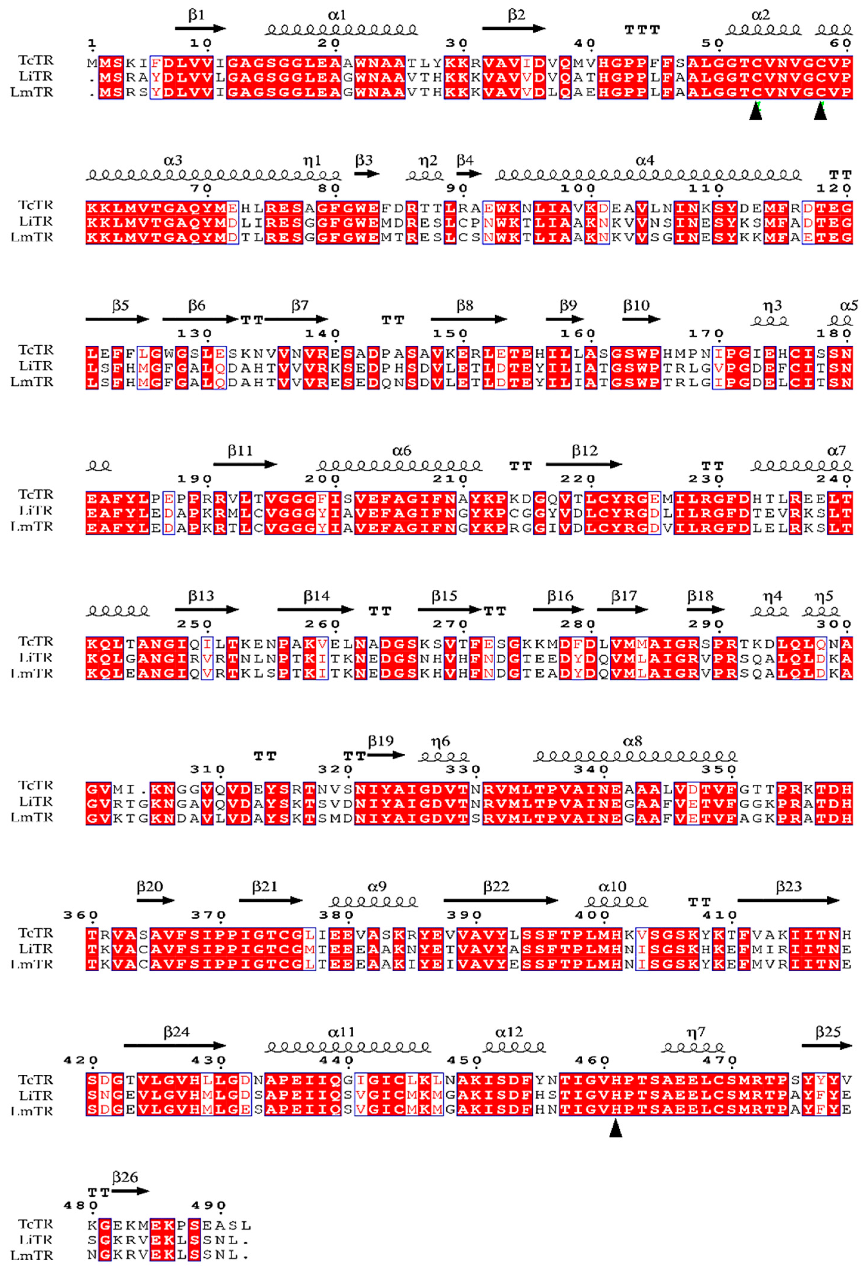Molecules 24 03216 g001