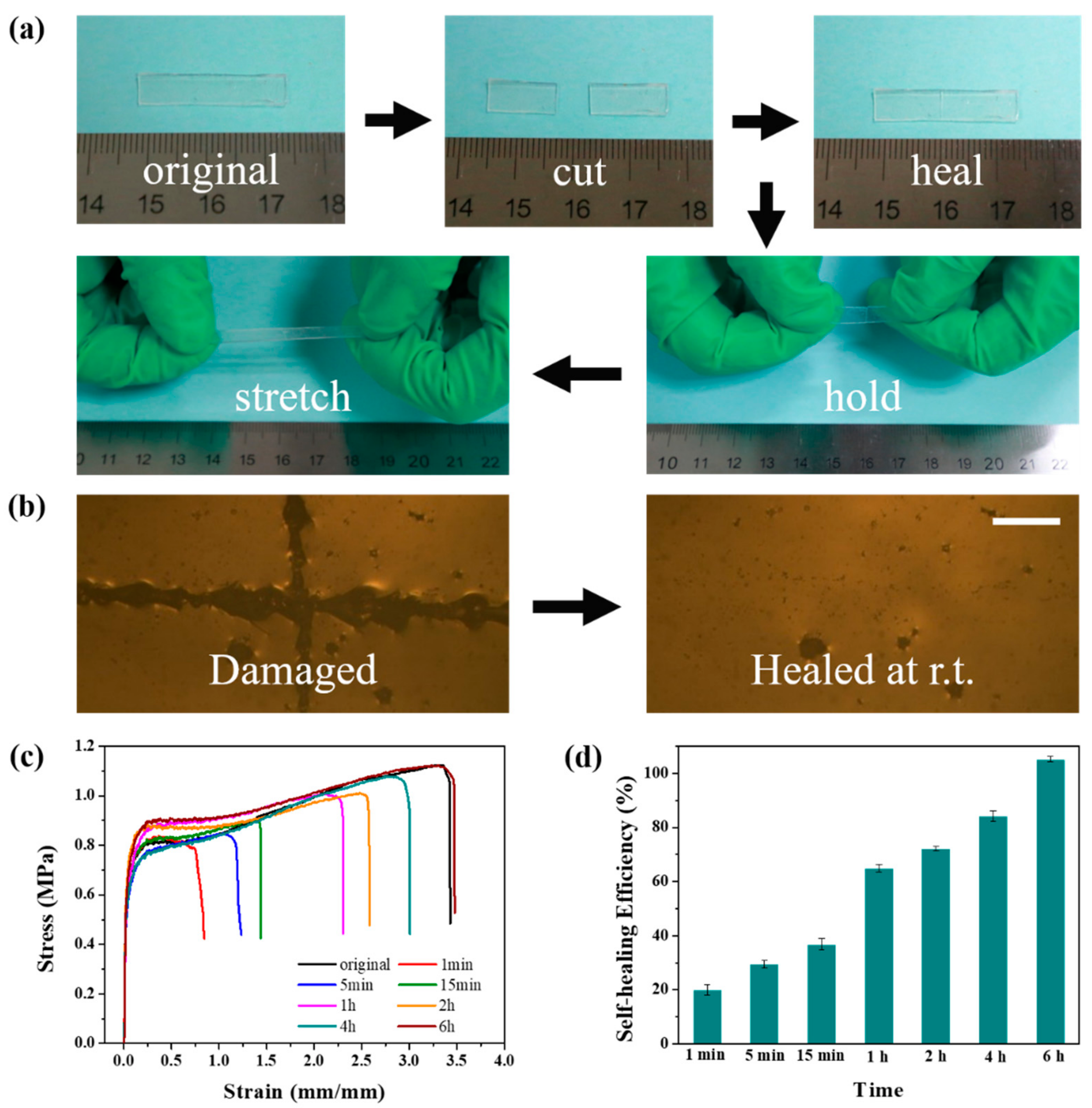 Molecules 24 03224 g004 Molecules 24 03224 g004
