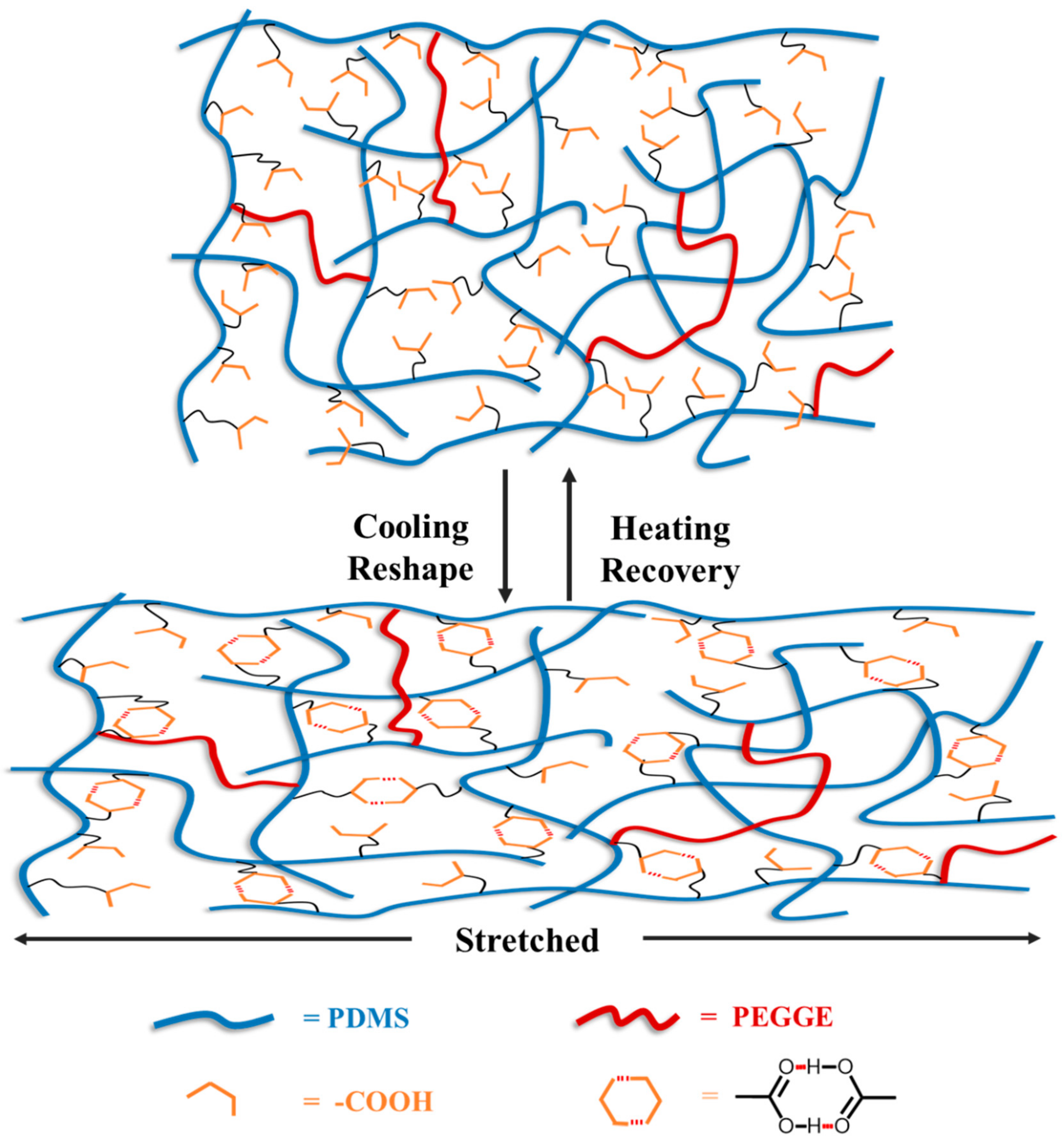Molecules 24 03224 g006 Molecules 24 03224 g006