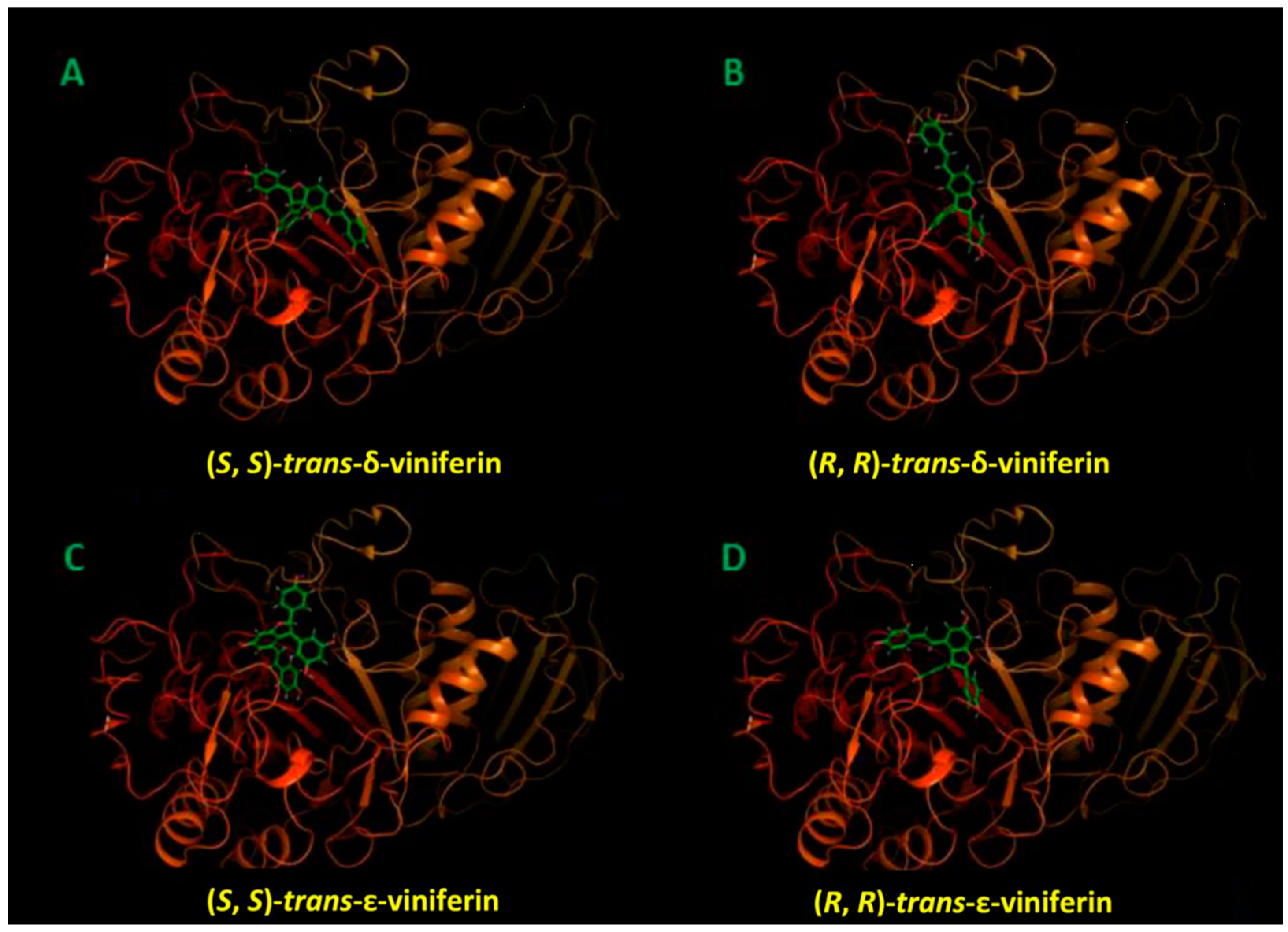 Molecules 24 03225 g008