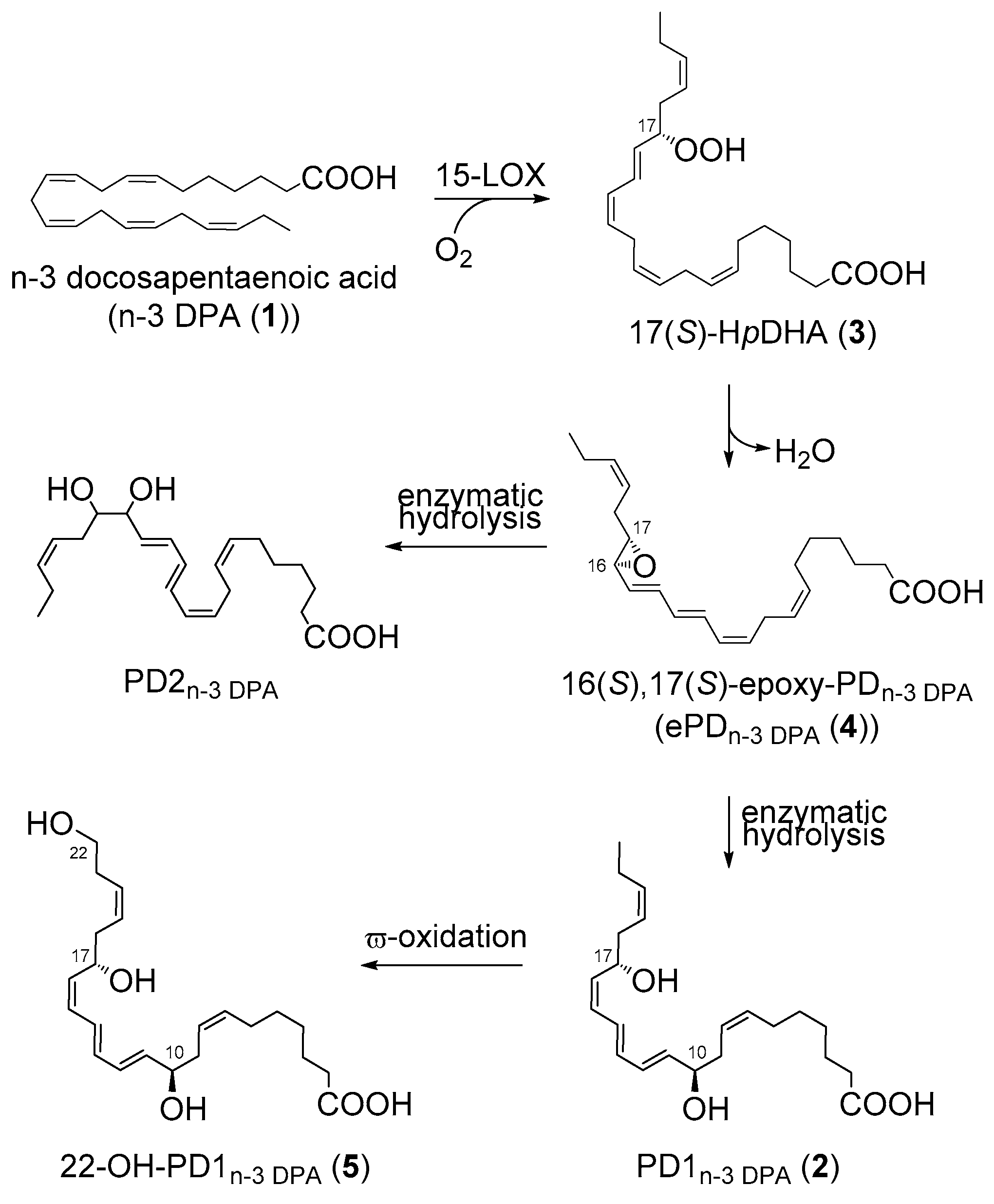 Molecules 24 03228 sch001