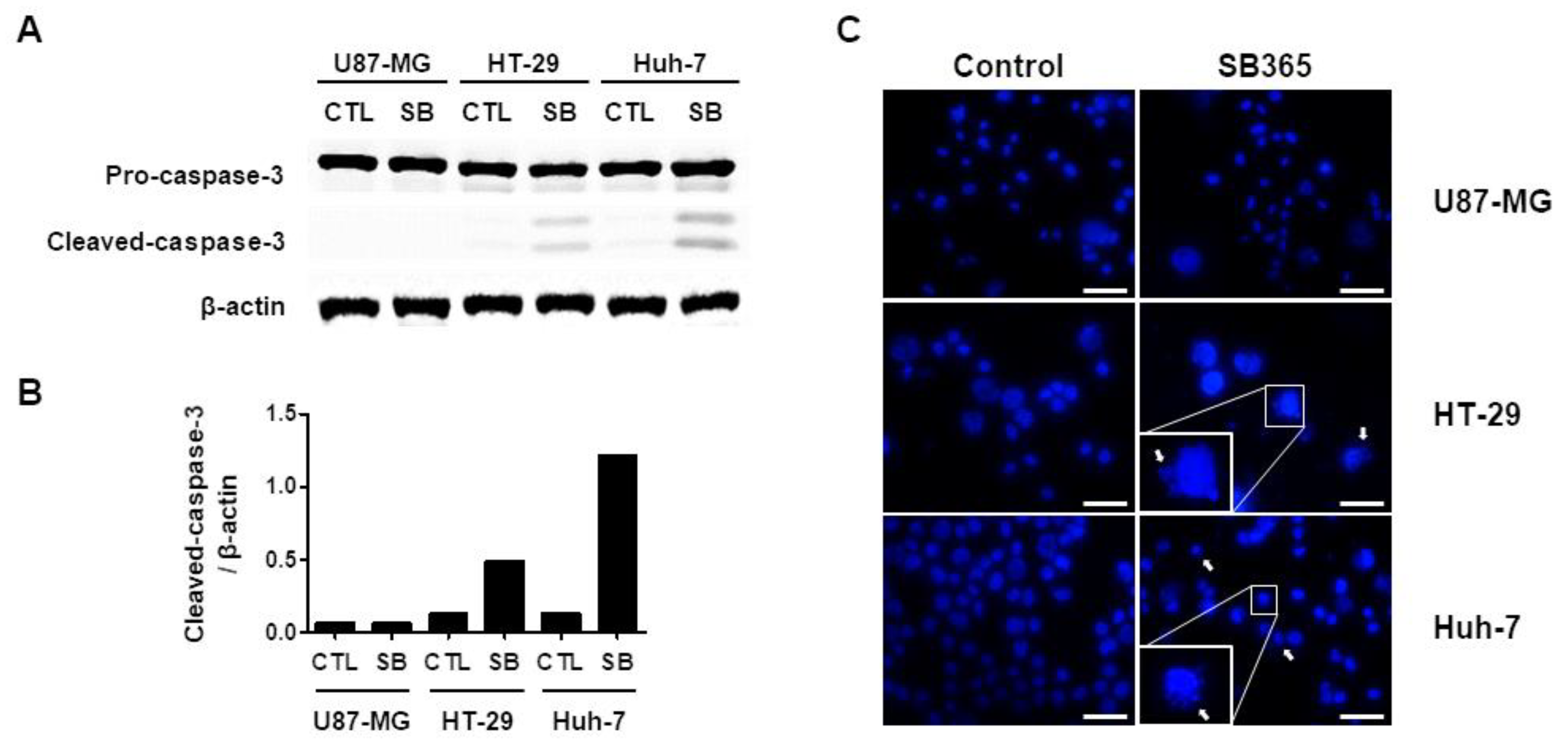 Molecules 24 03230 g002 Molecules 24 03230 g002
