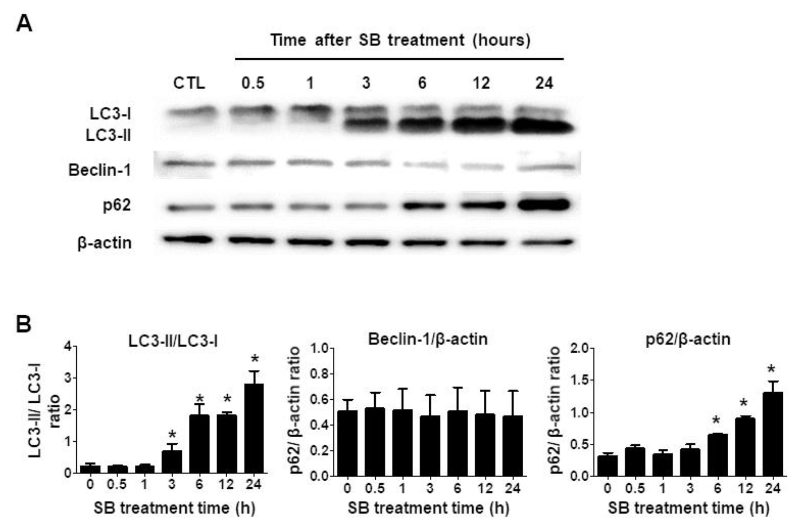 Molecules 24 03230 g003 Molecules 24 03230 g003