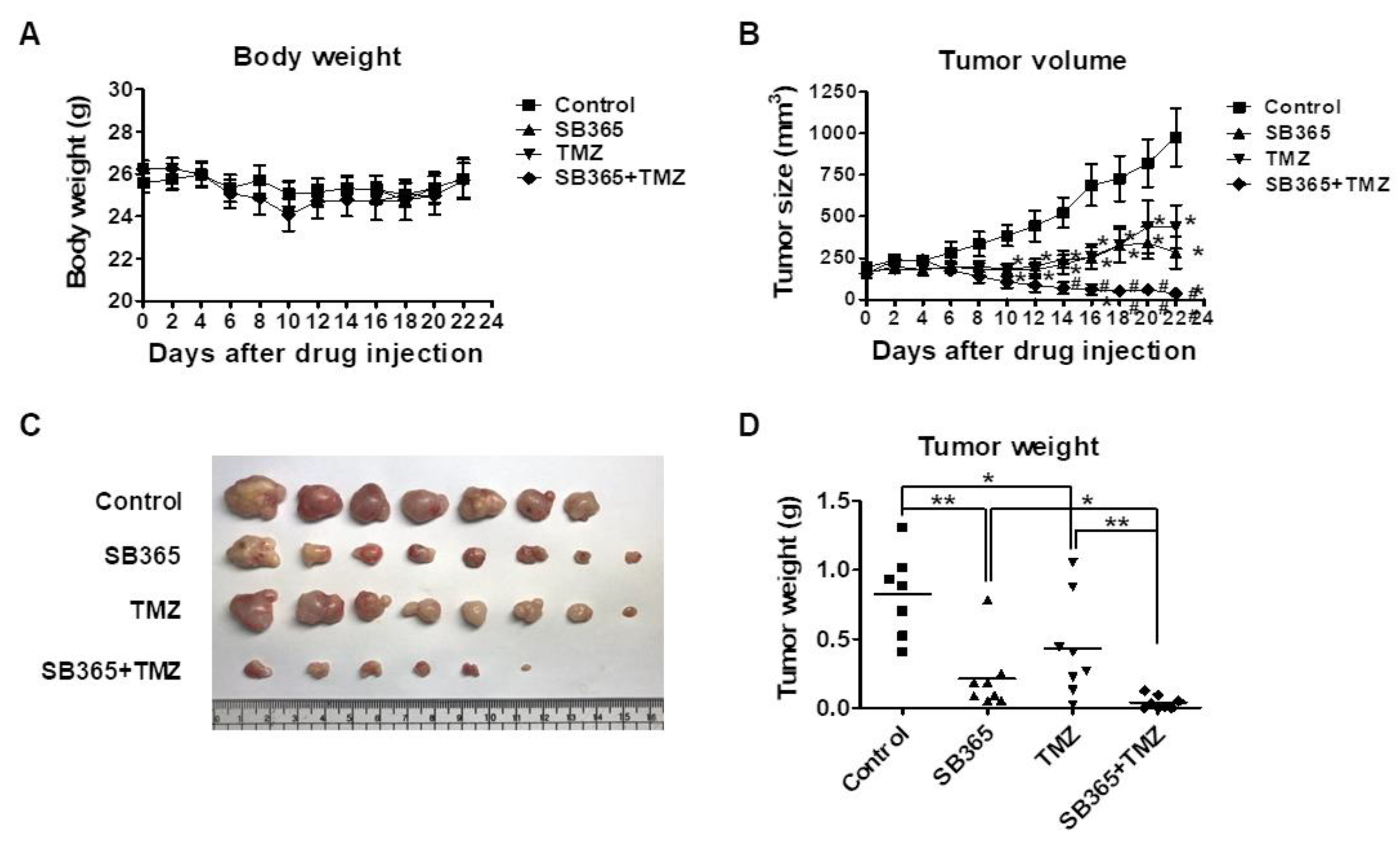 Molecules 24 03230 g007 Molecules 24 03230 g007