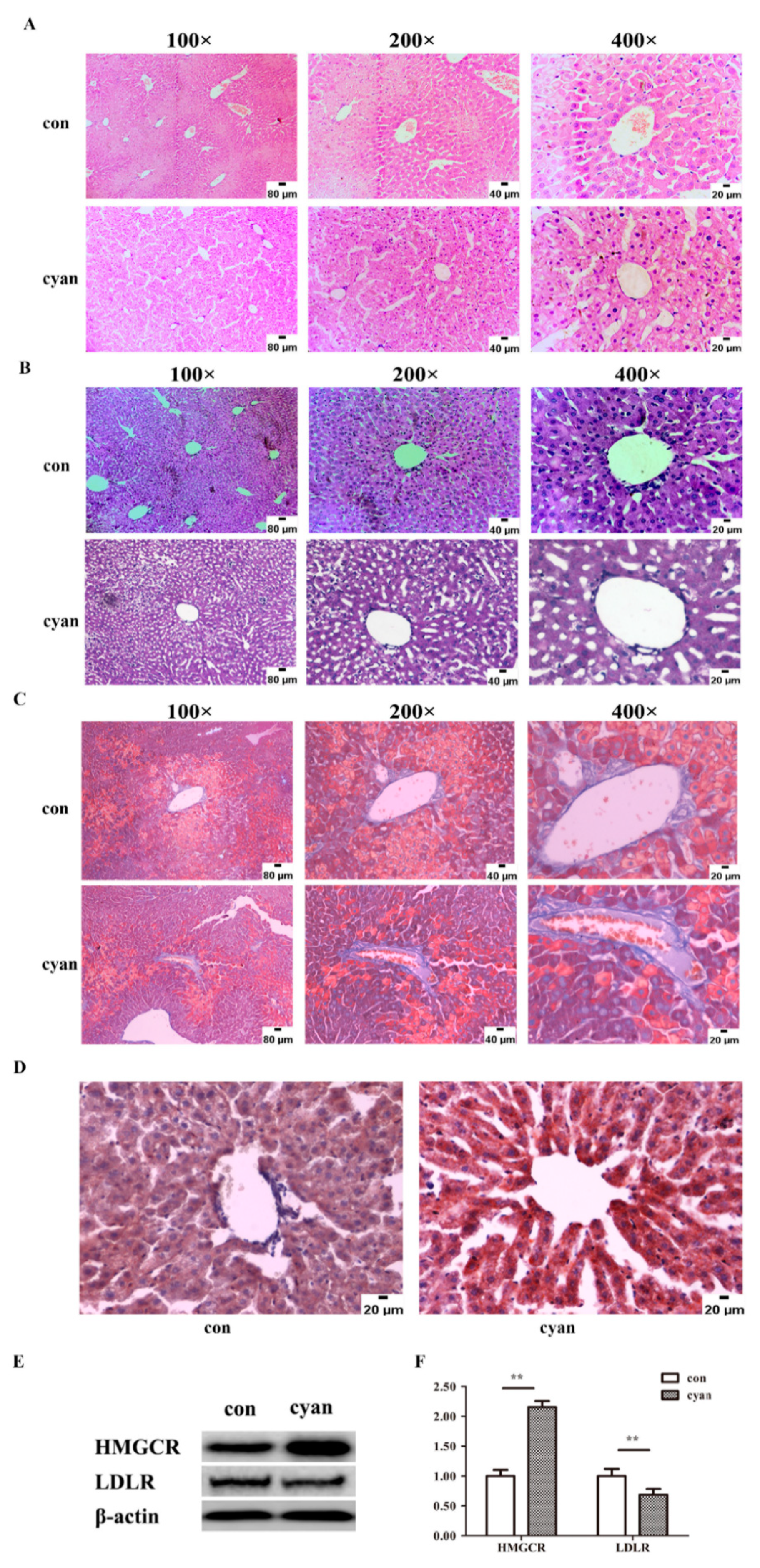 Molecules 24 03231 g003