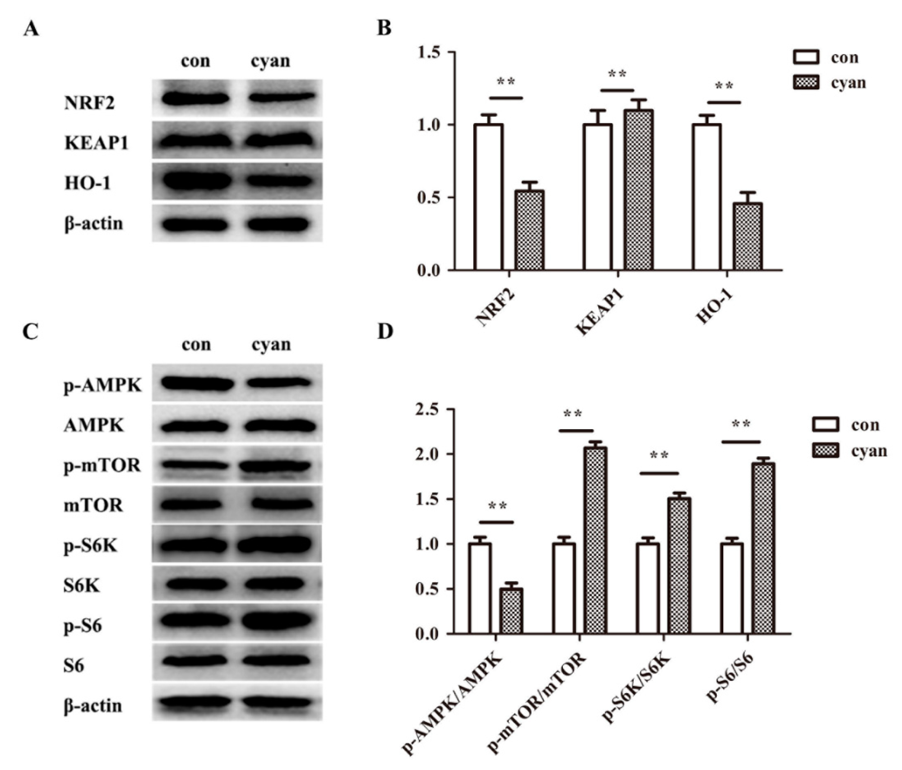Molecules 24 03231 g004