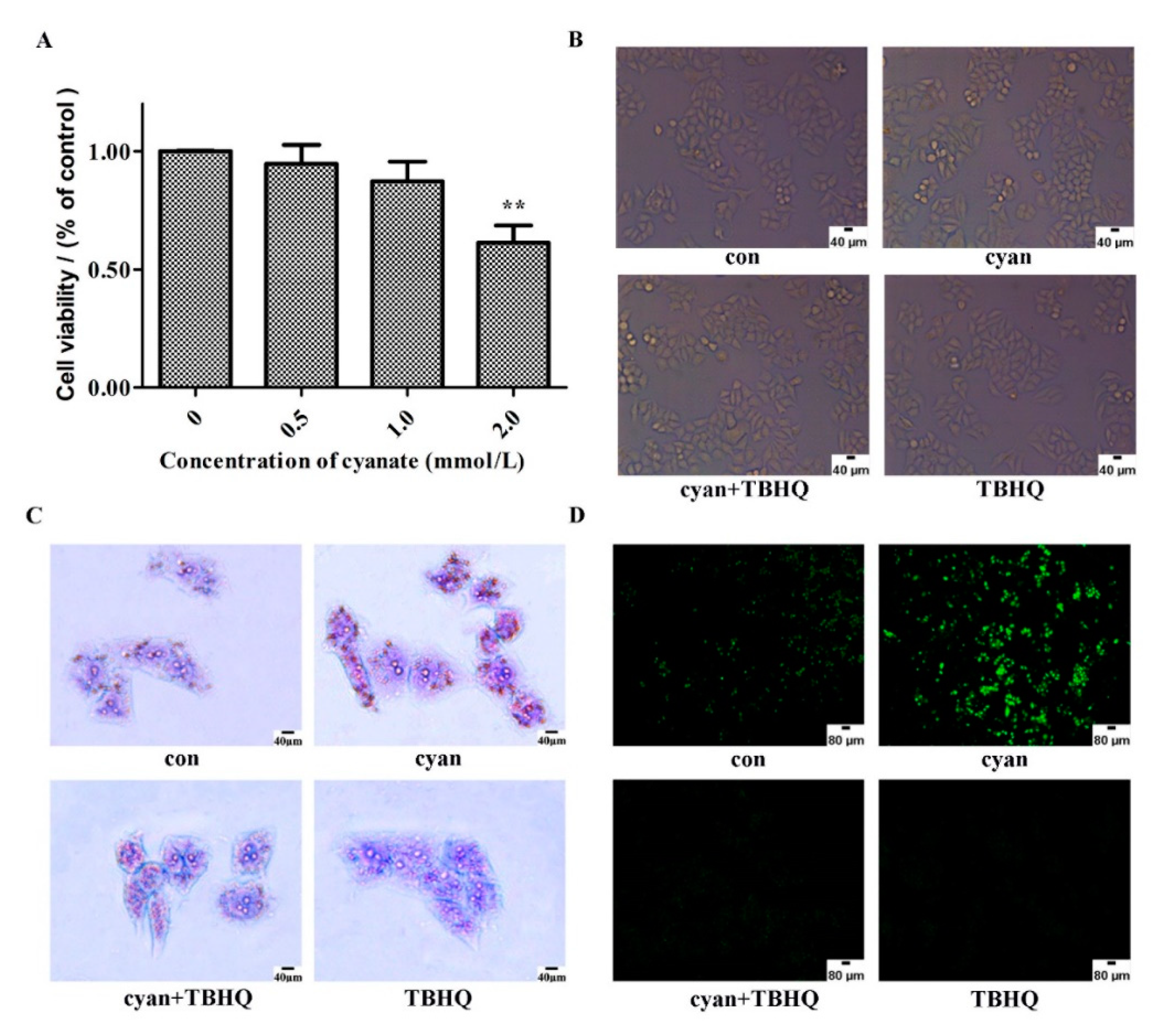 Molecules 24 03231 g005a