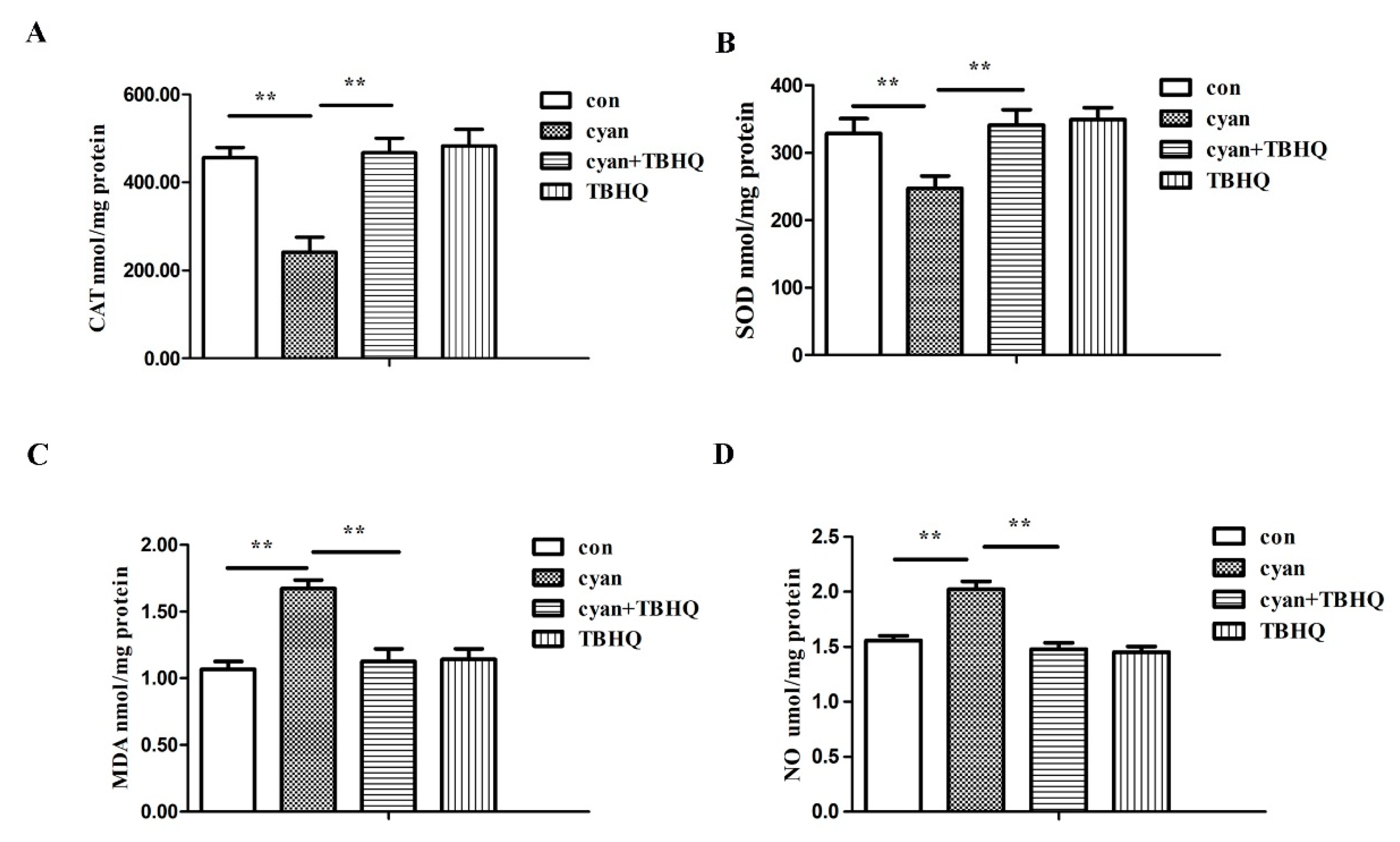 Molecules 24 03231 g006