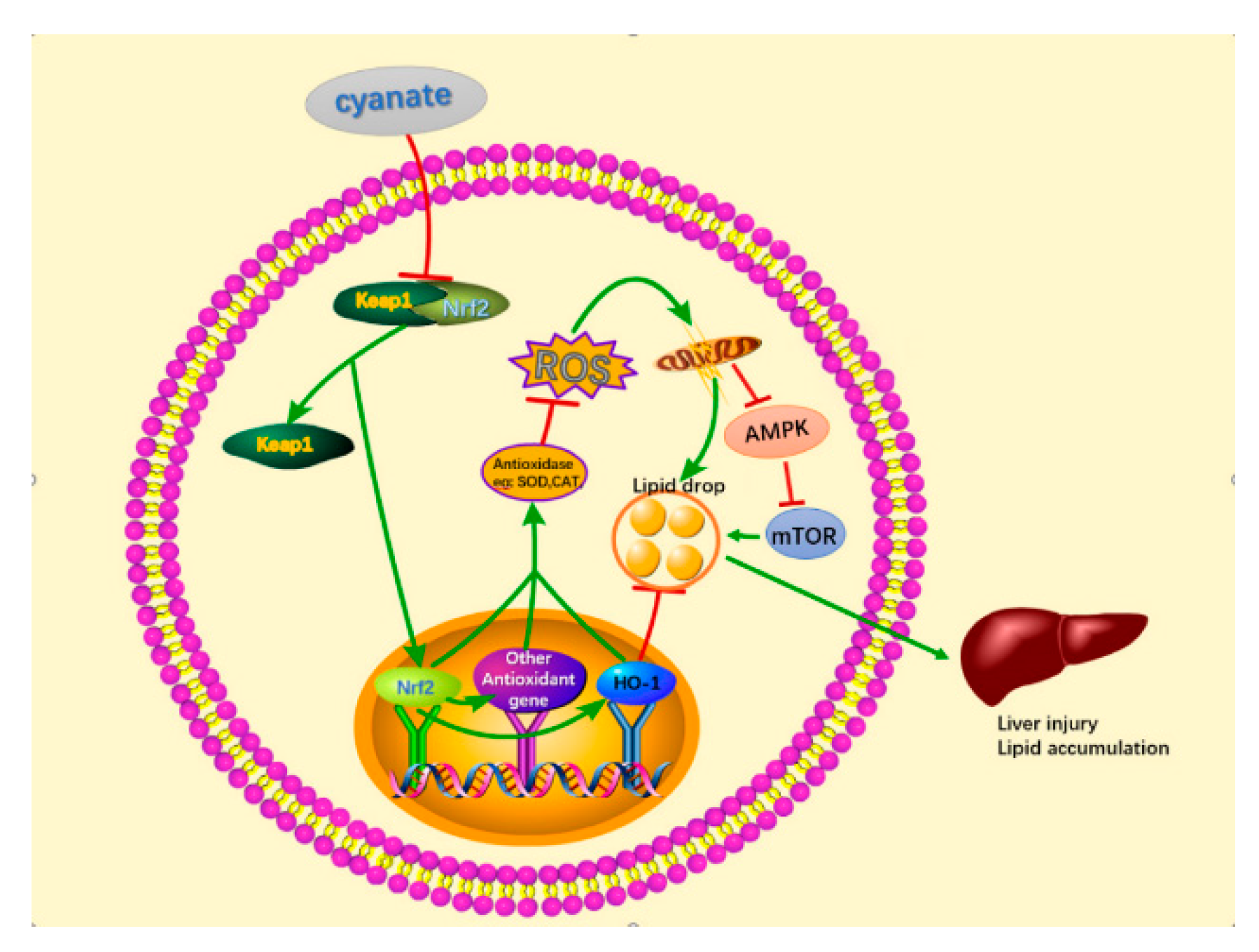 Molecules 24 03231 g008